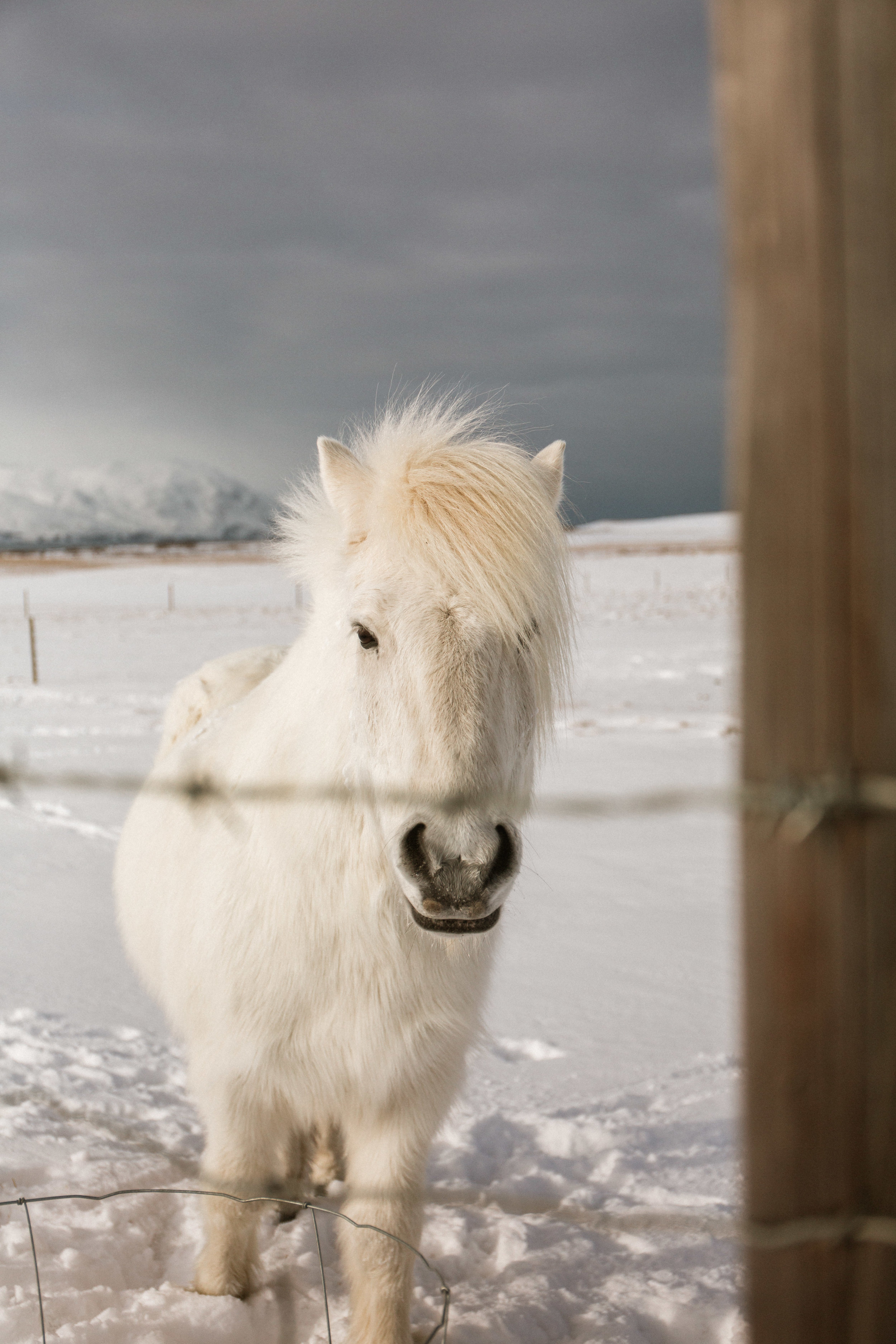 Iceland_2019_03_07_085305-7945_CMB.jpg