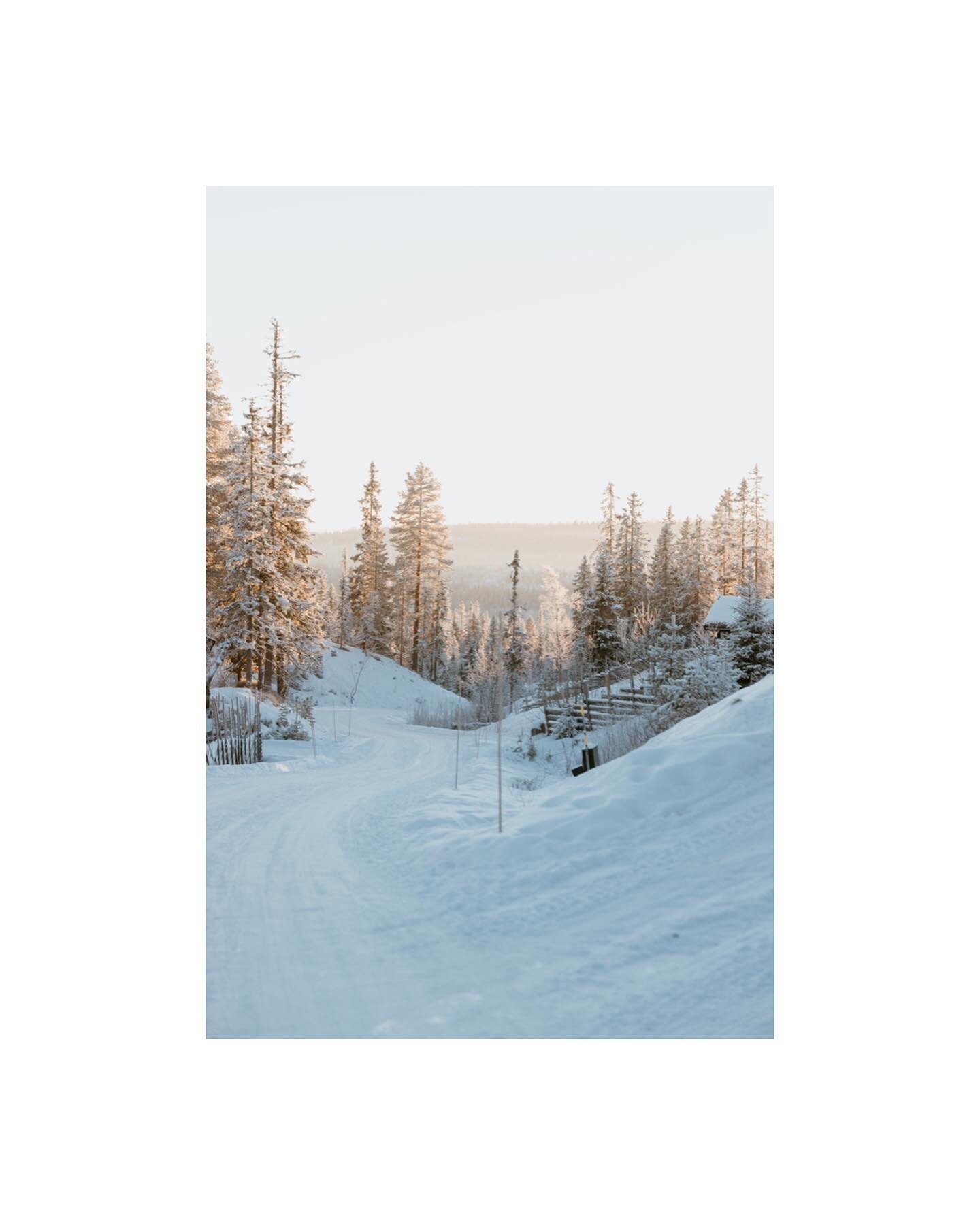 Christmas in Norway. A few moments of magical horse drawn sleigh rides.