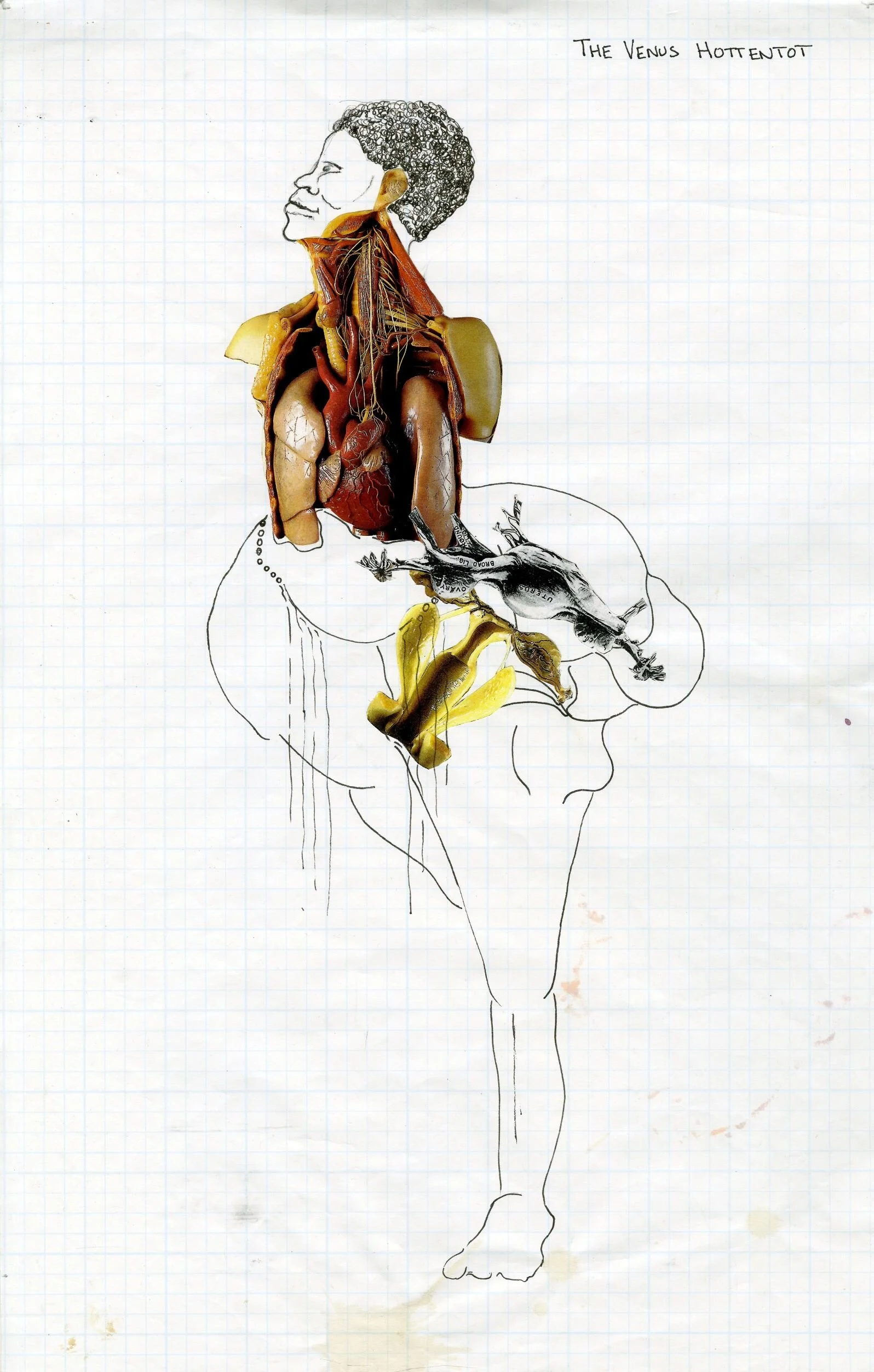 venus01 web.jpg