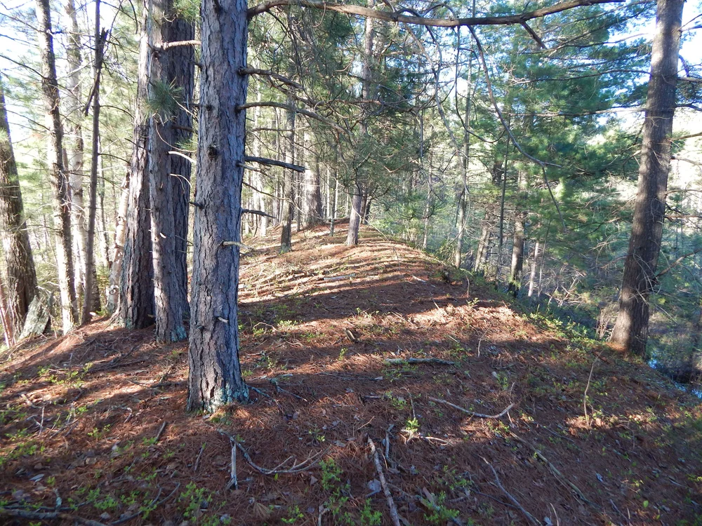 open pine ridge by #5 and #6