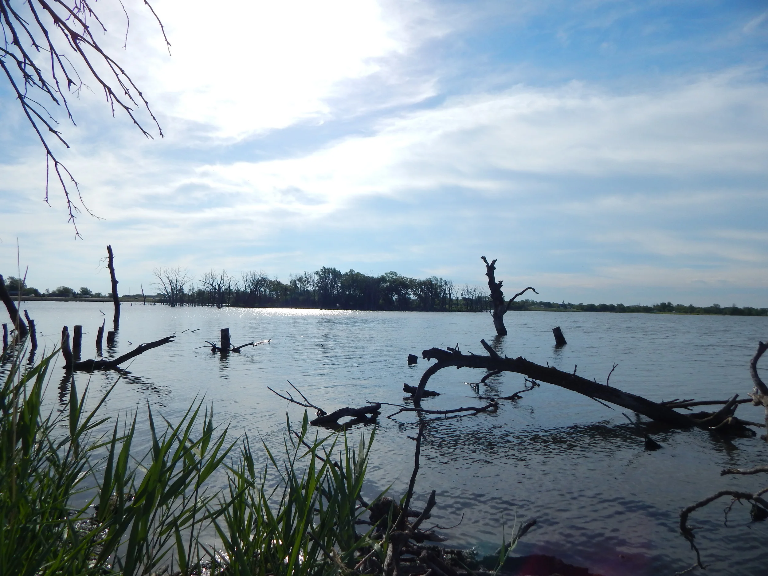 Possible FTF only 358 miles away on a Flooded Island Cemetery, Why not?