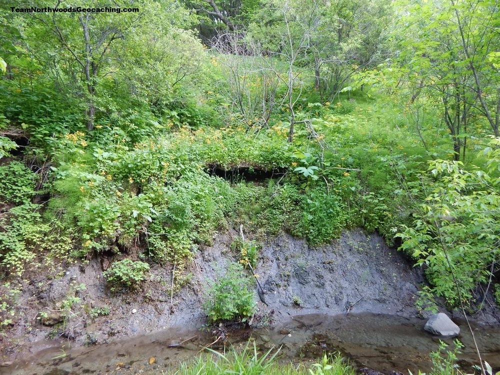 DSCN0909.JPG