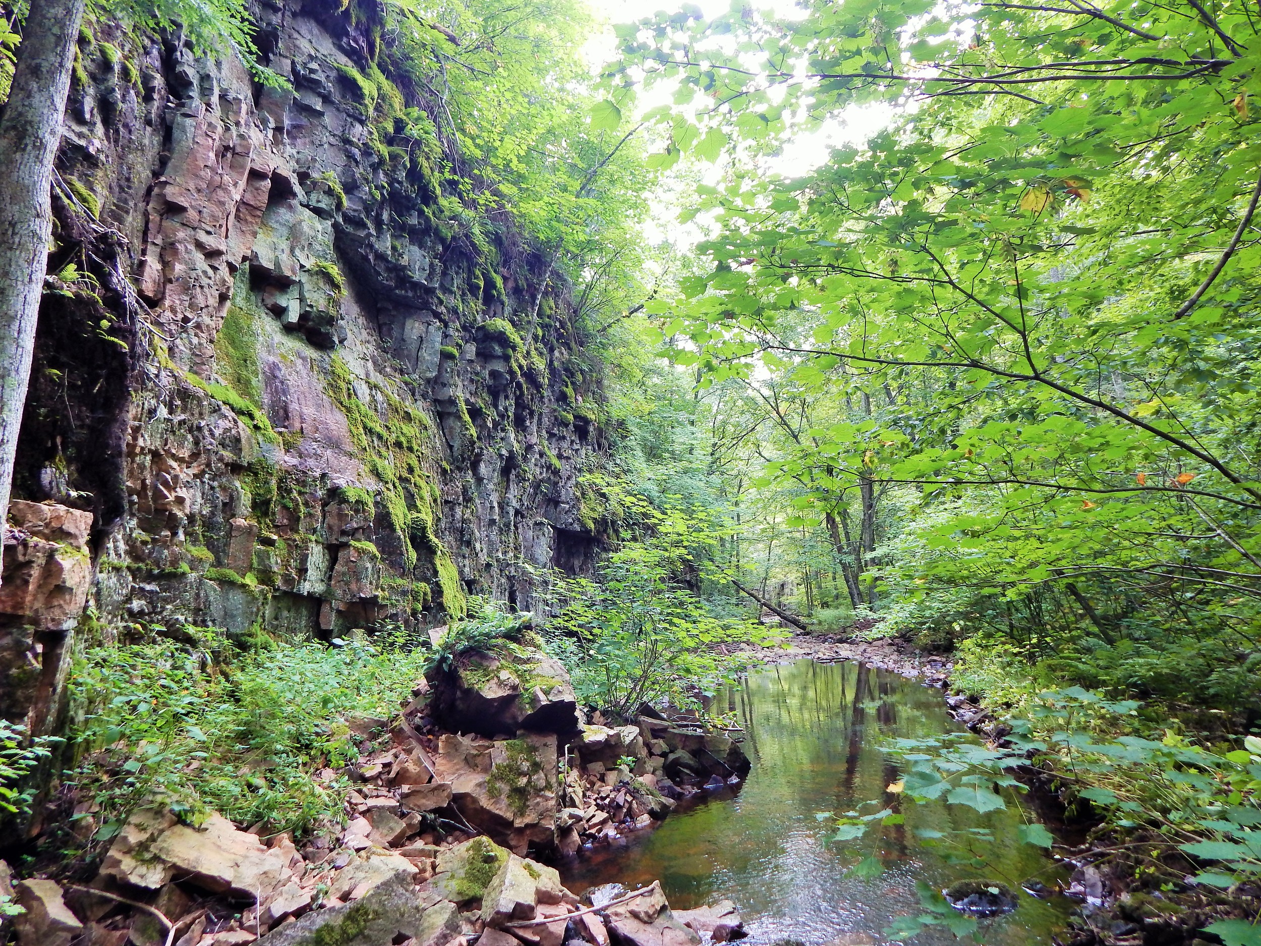 Leaf it to Rusk - Grundy /Gundy's Canyon Hike