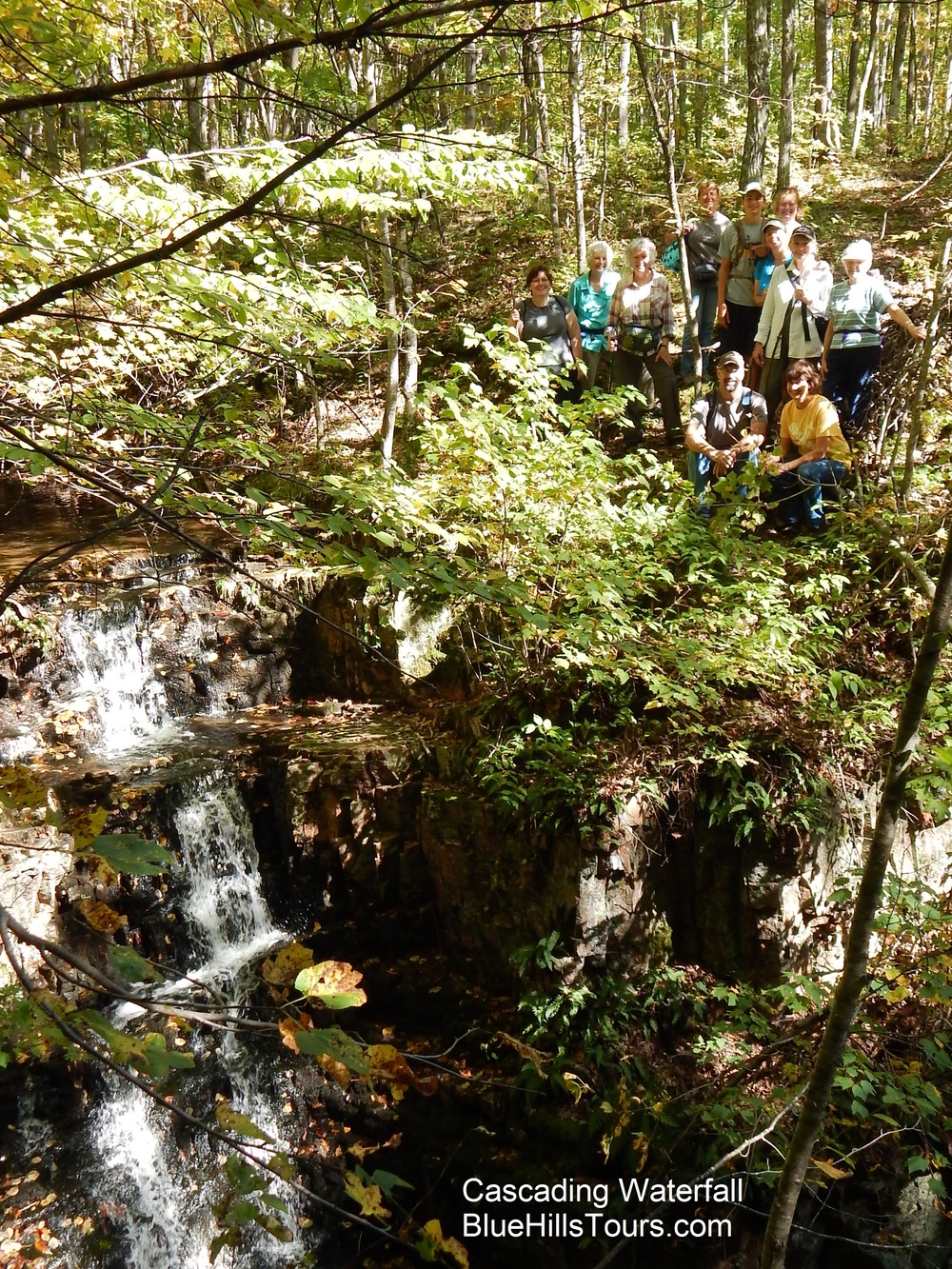 Group Cascading Waterfall Leaf it 2015.jpg