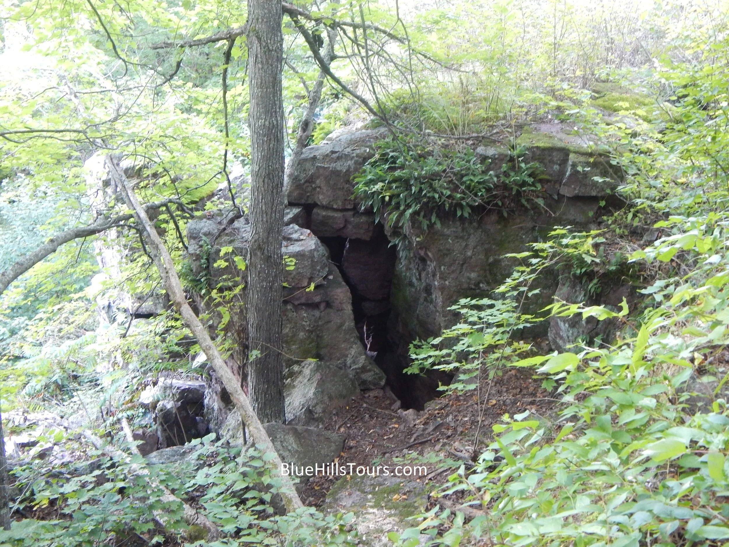 3rd Annual Geocaching / Hiking Event - Five Man Cave