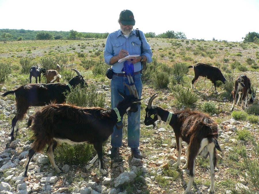 Jim with goats.jpg