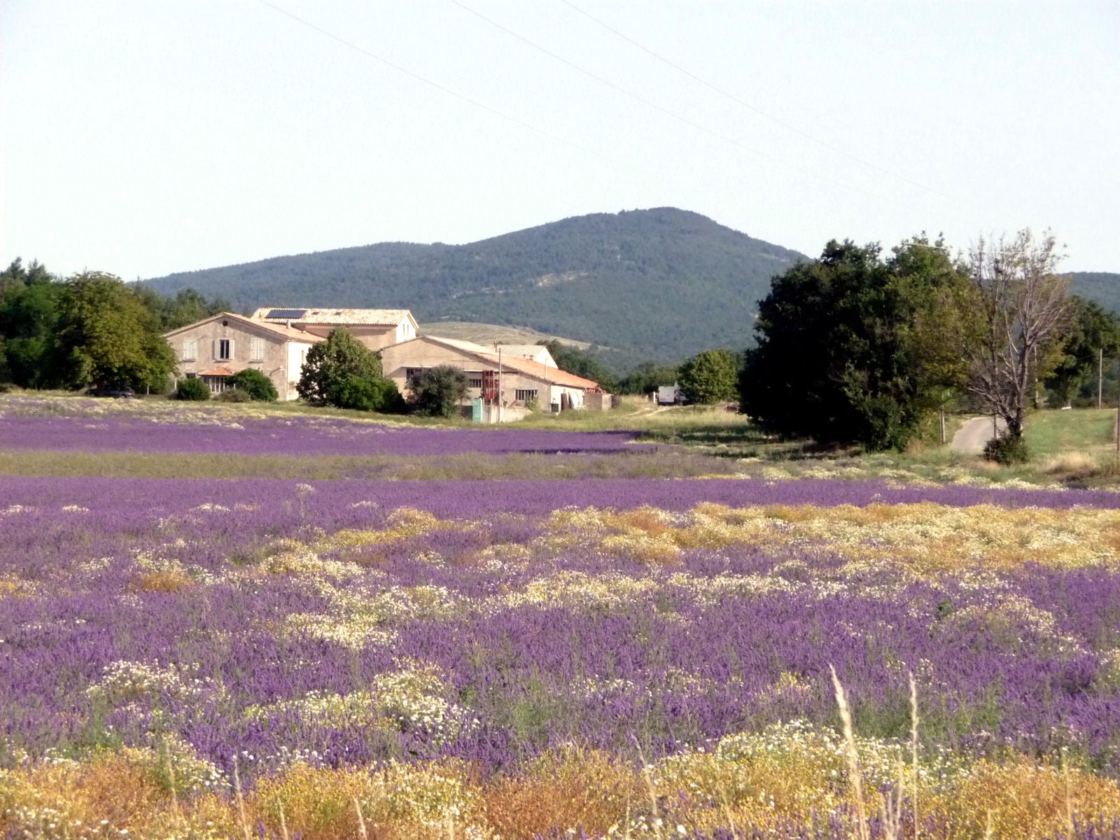 20130826_236 .1.2.jpg