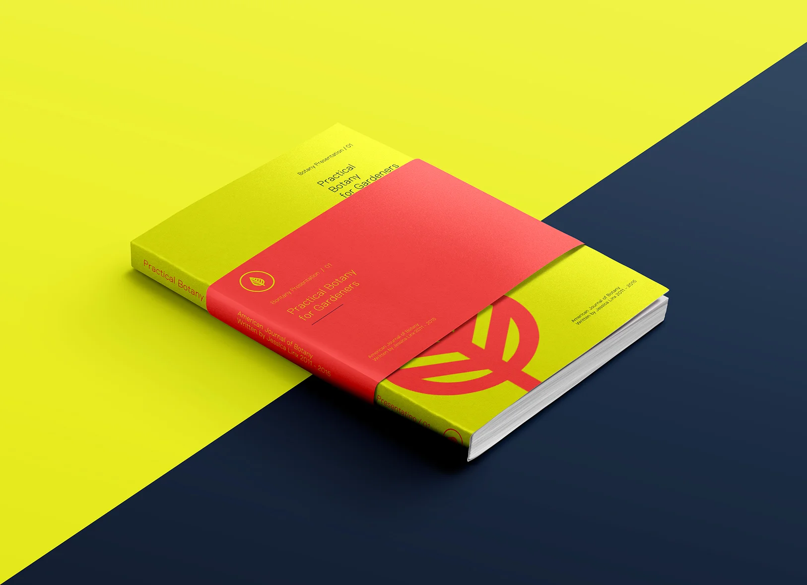 Book Cover.jpg