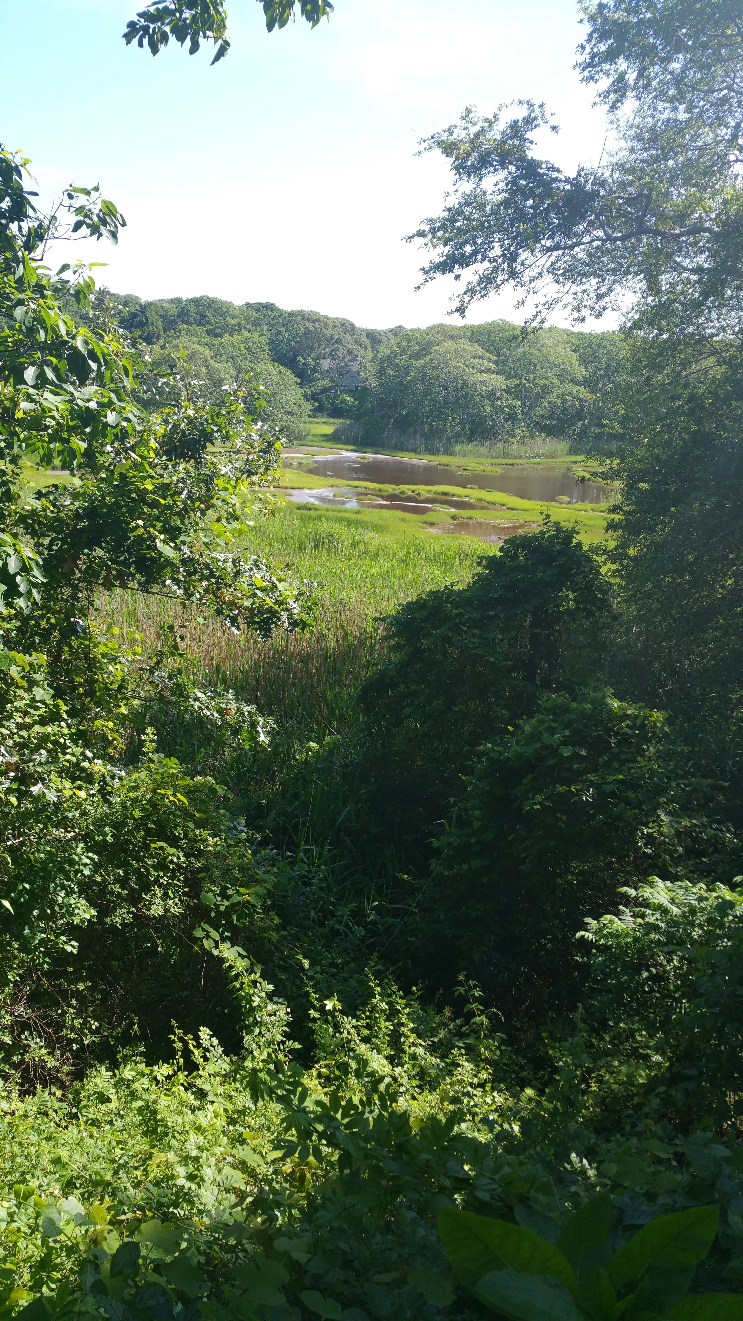 20150624_154157.jpg