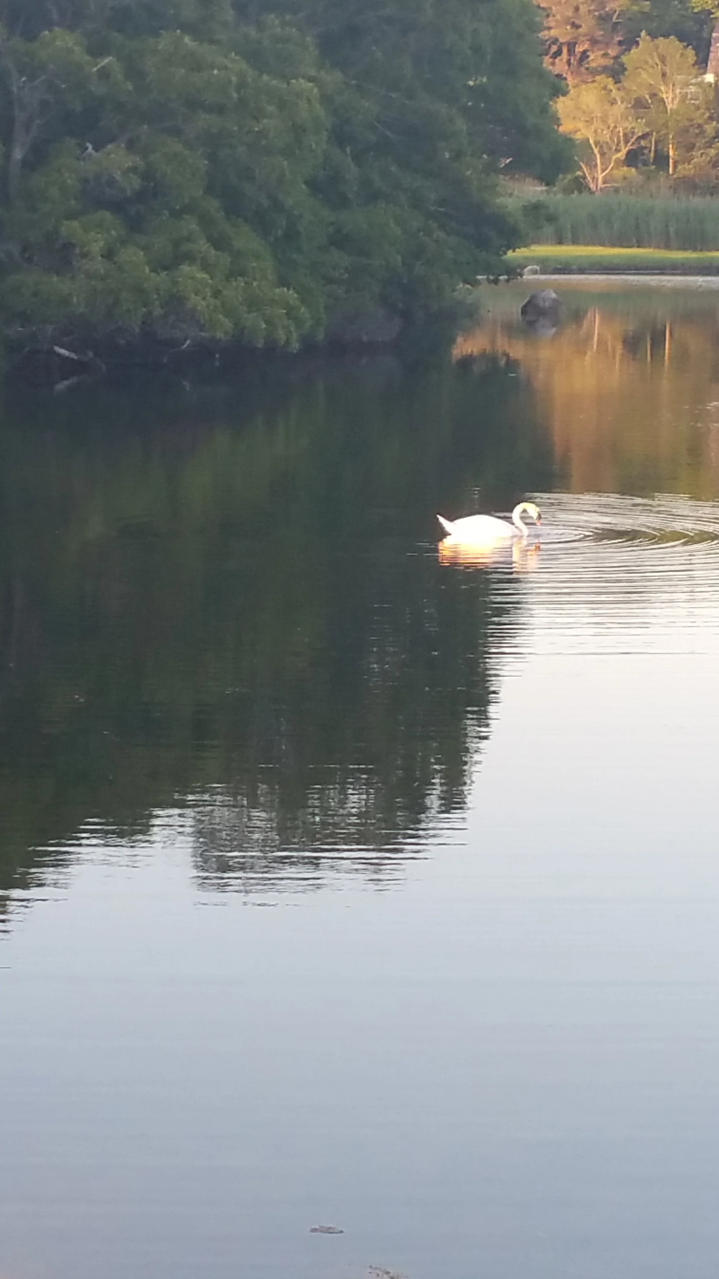 20150624_194657.jpg