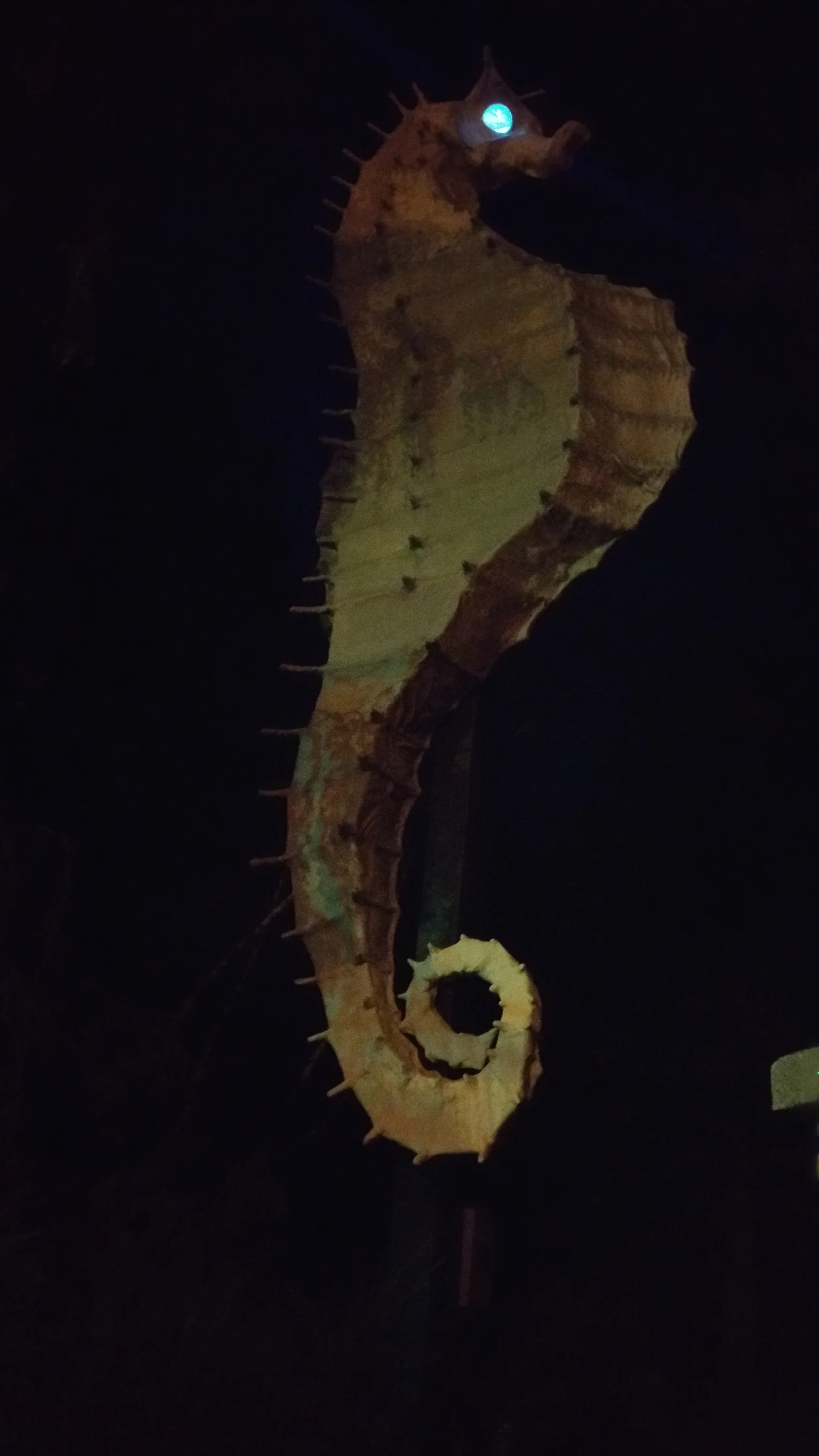 20150706_212920.jpg