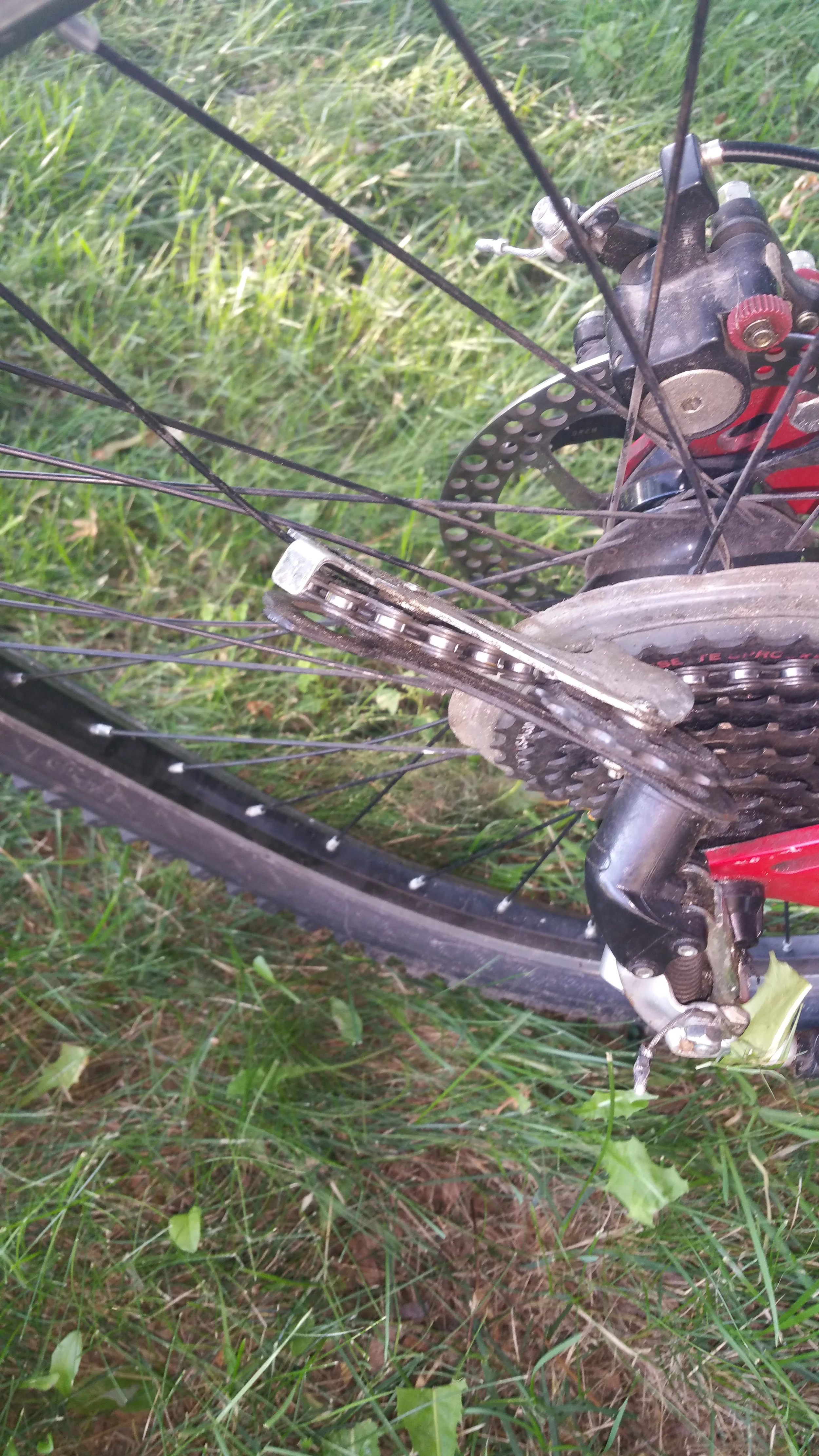 20150720_182151.jpg