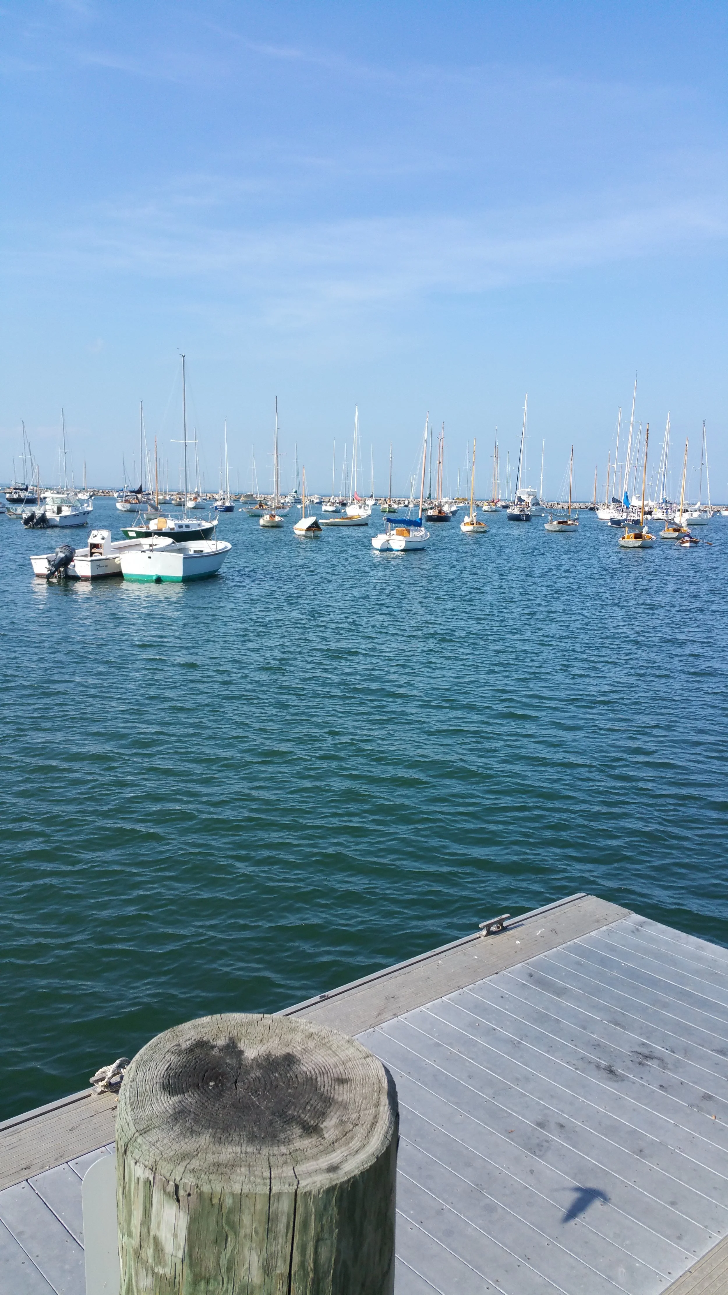 20150622_165933.jpg