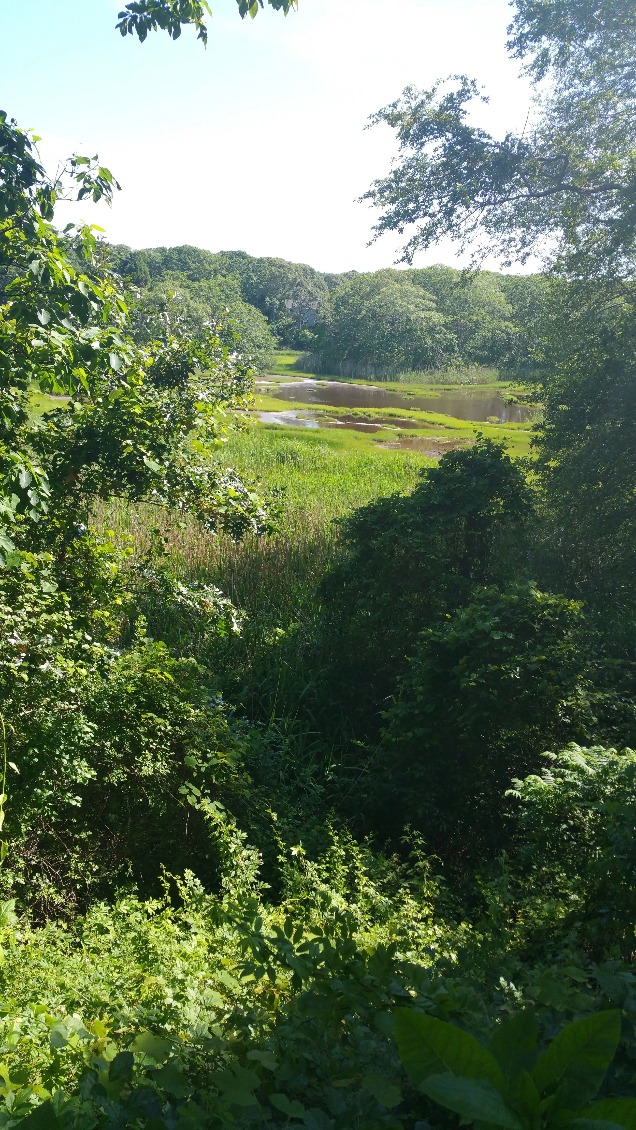 20150624_154201.jpg