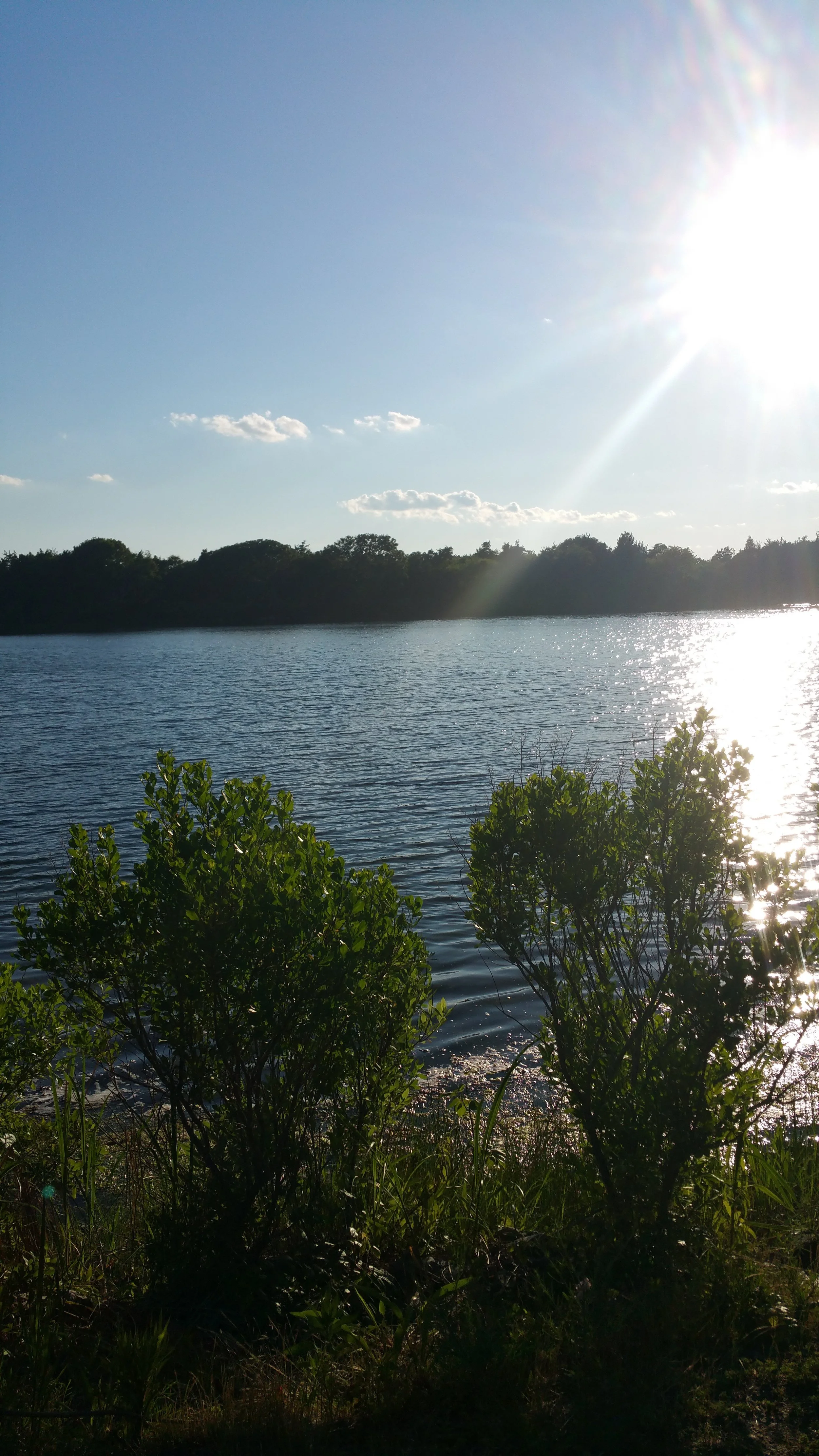 20150624_184742.jpg
