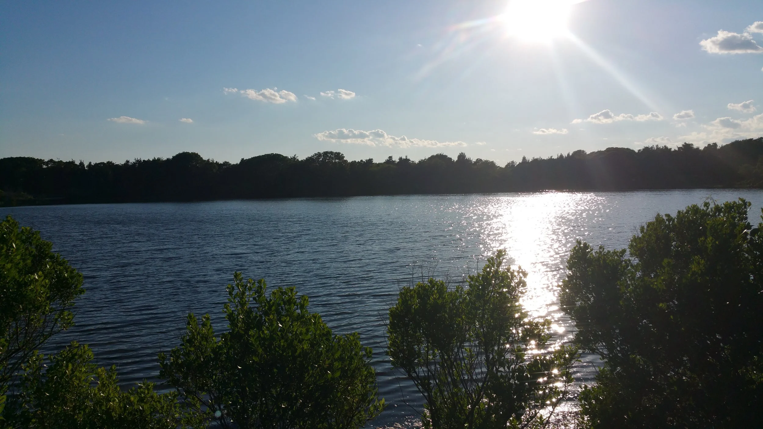 20150624_184747.jpg