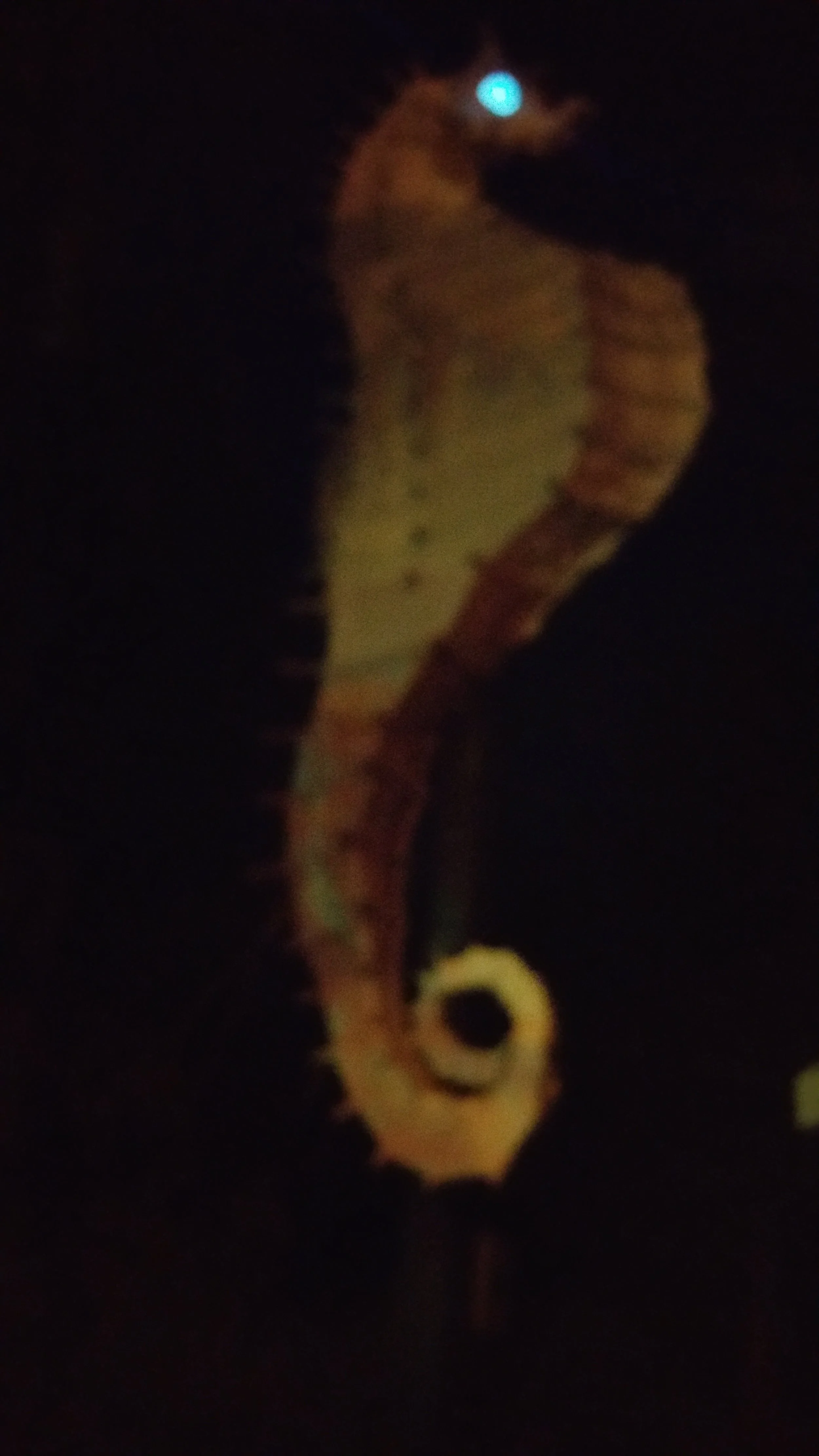 20150706_212915 - Copy - Copy.jpg