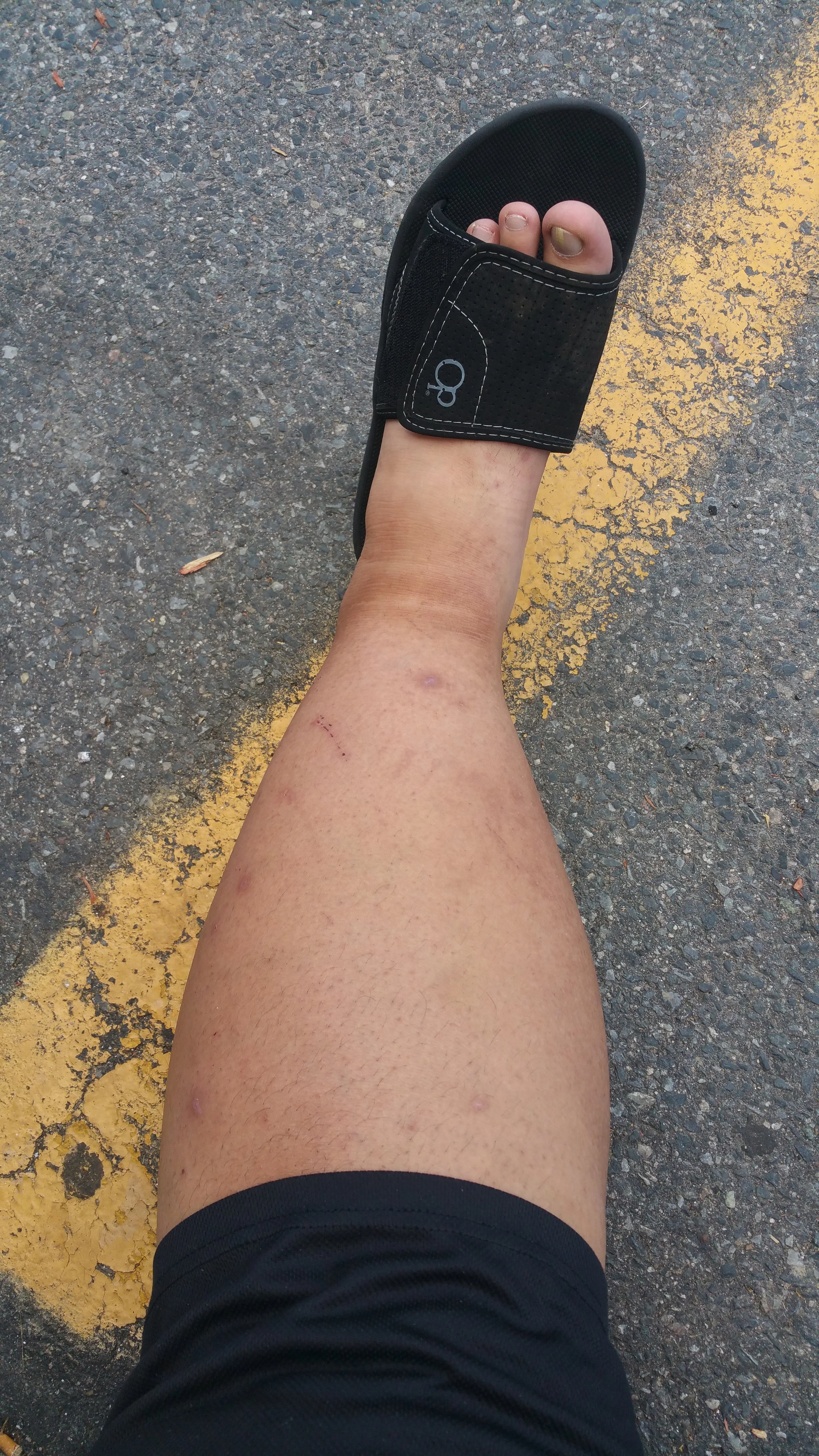 20150720_151322 - Copy - Copy.jpg