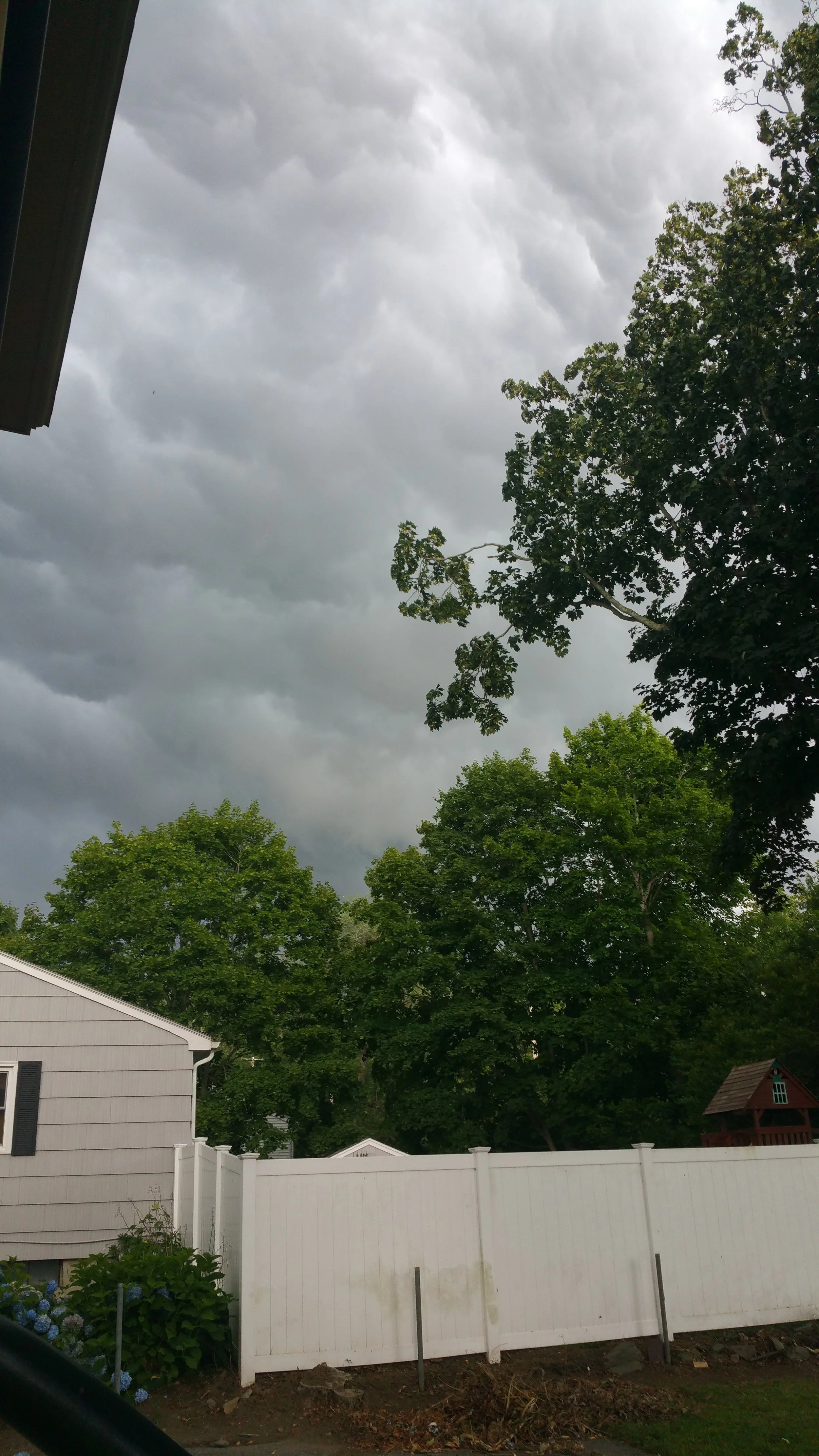 20150728_171049 - Copy - Copy.jpg