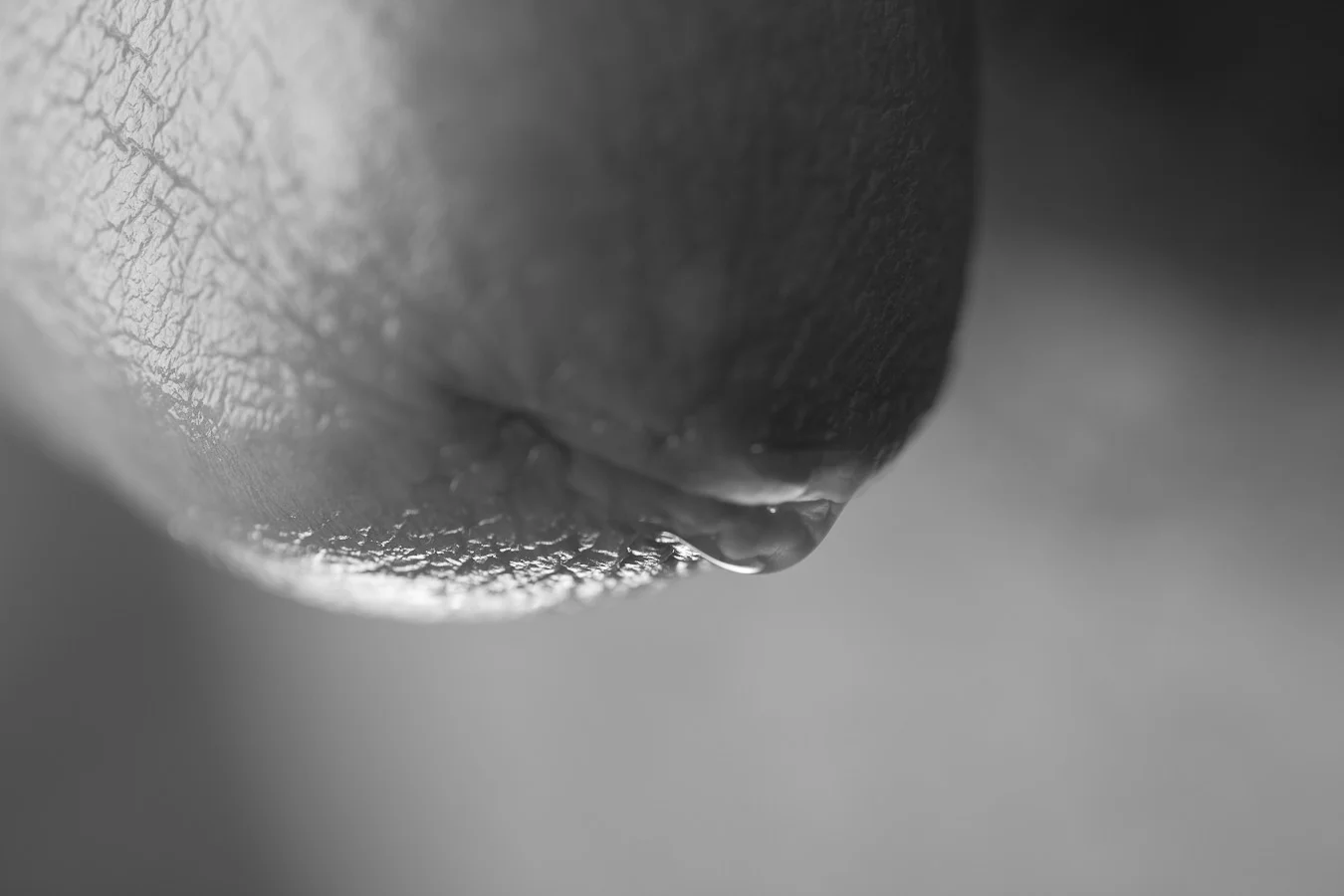 nicolas_0508.jpg