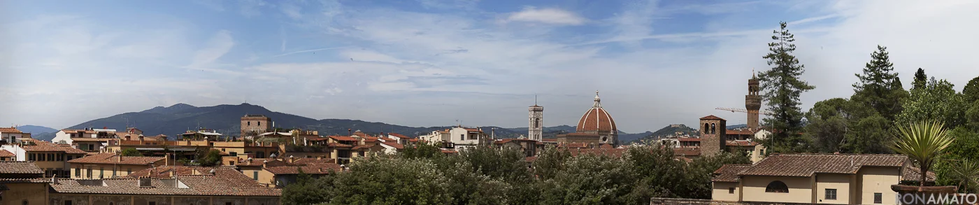 Pitti_pano.jpg