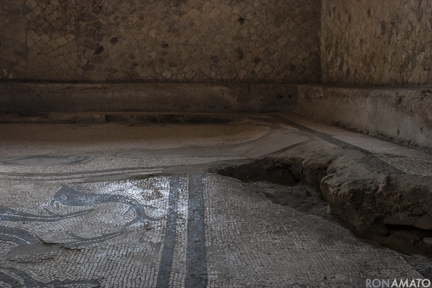 Herculaneum0042.jpg