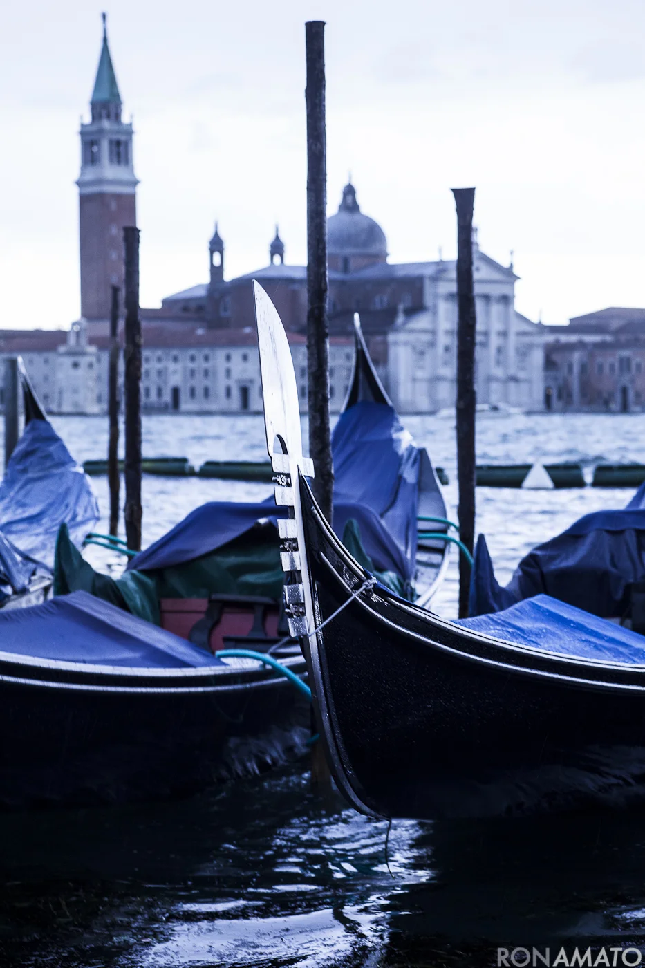 Amato_20120607_2365.jpg