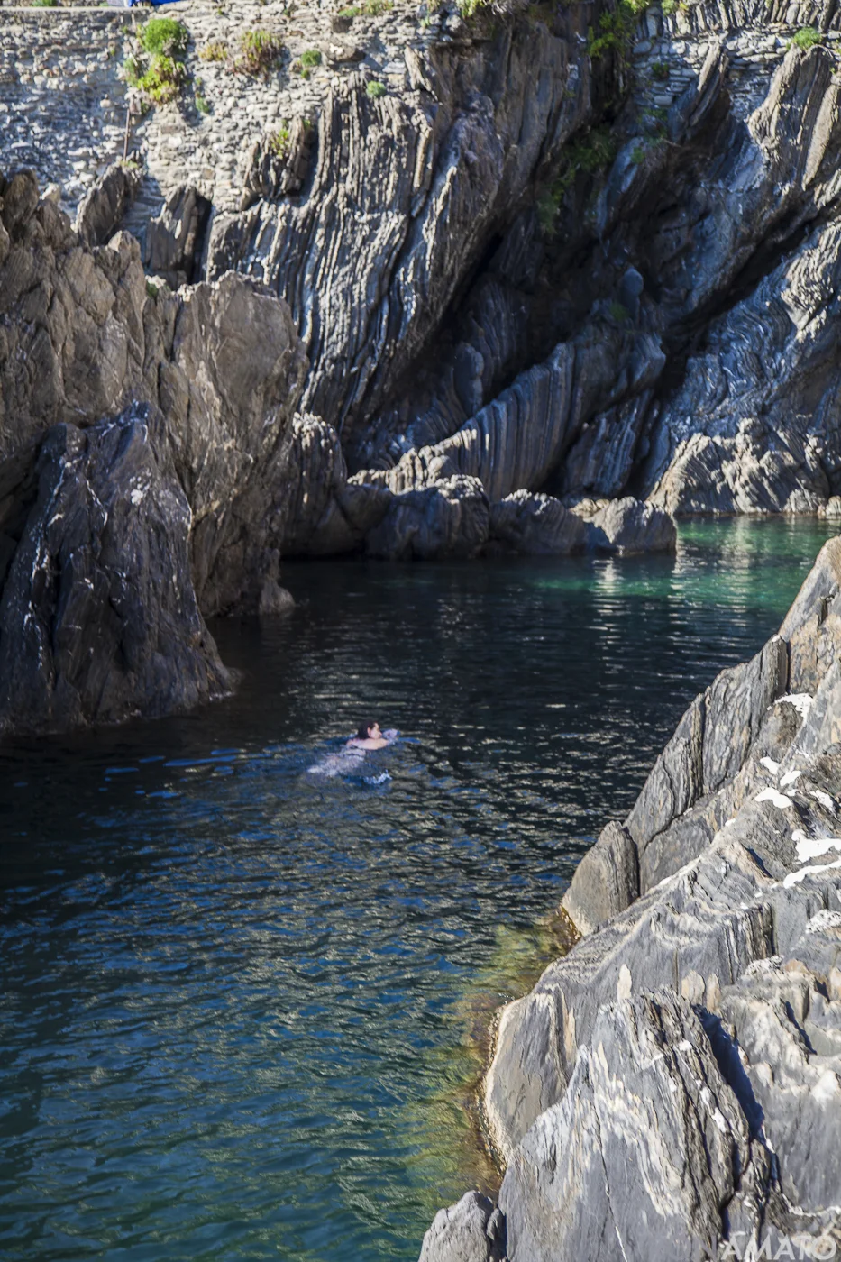 Manarola_20120616_0501.jpg
