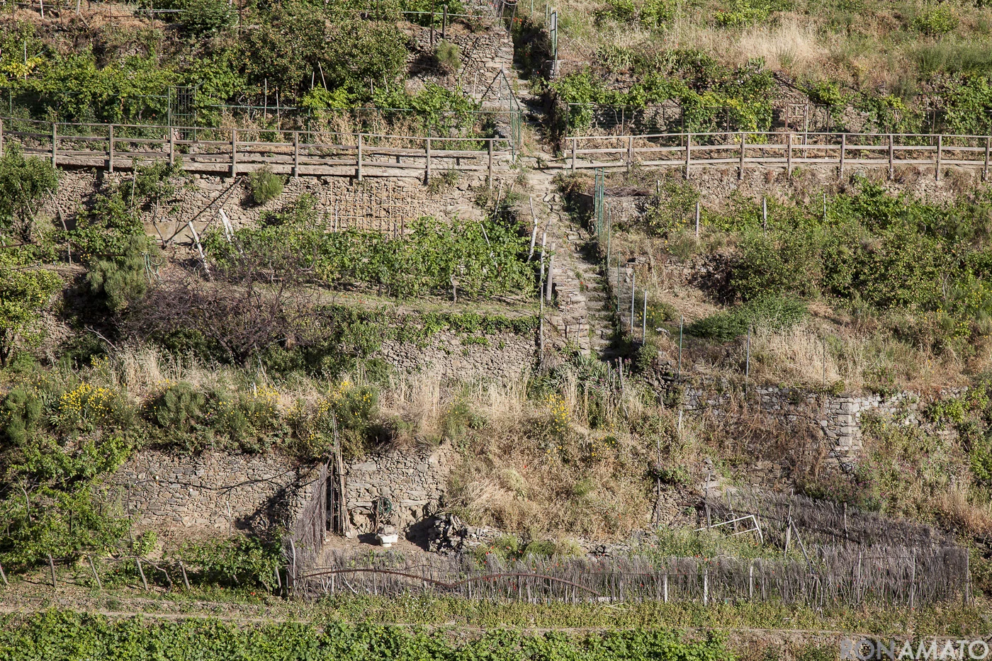 Manarola_20120616_0640.jpg