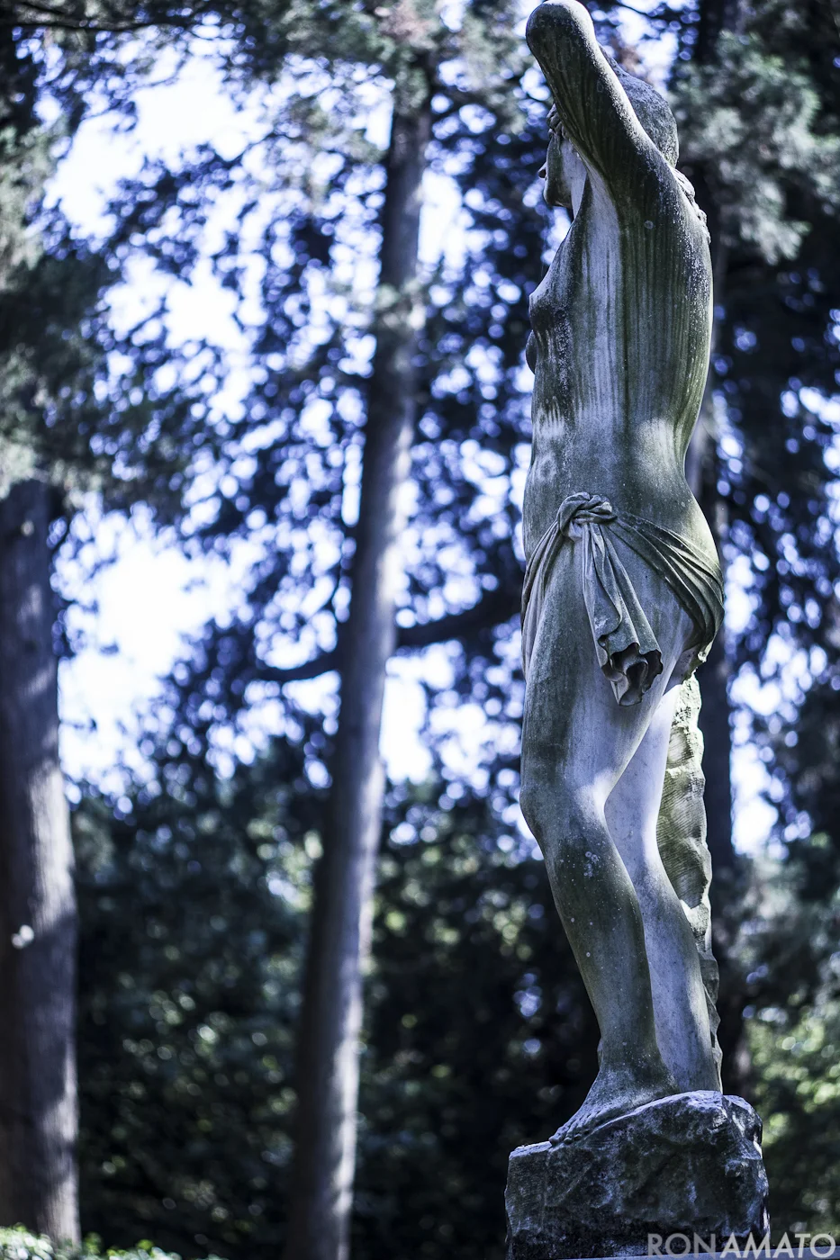 Amato_20120607_899.jpg