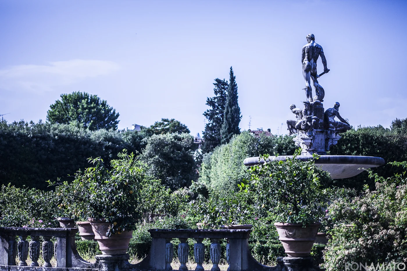 Amato_20120607_963.jpg