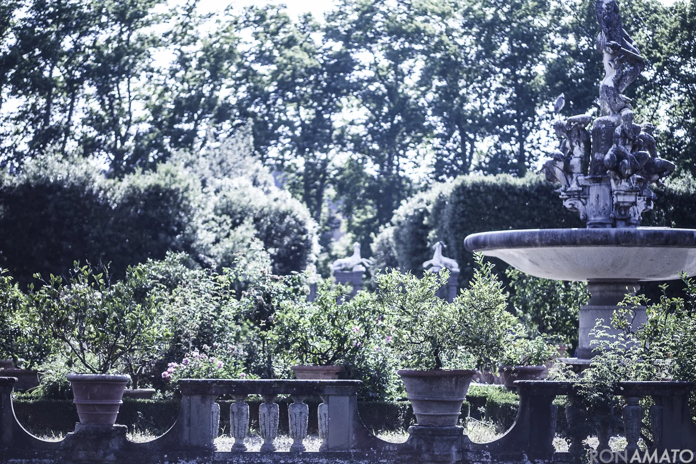 Amato_20120607_935.jpg