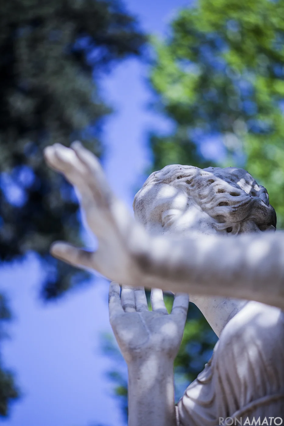 Amato_20120607_1115.jpg