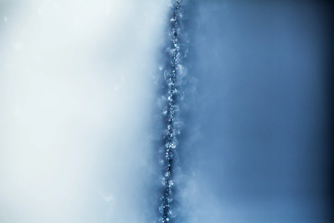 brooklyn_snow_2014_236.jpg