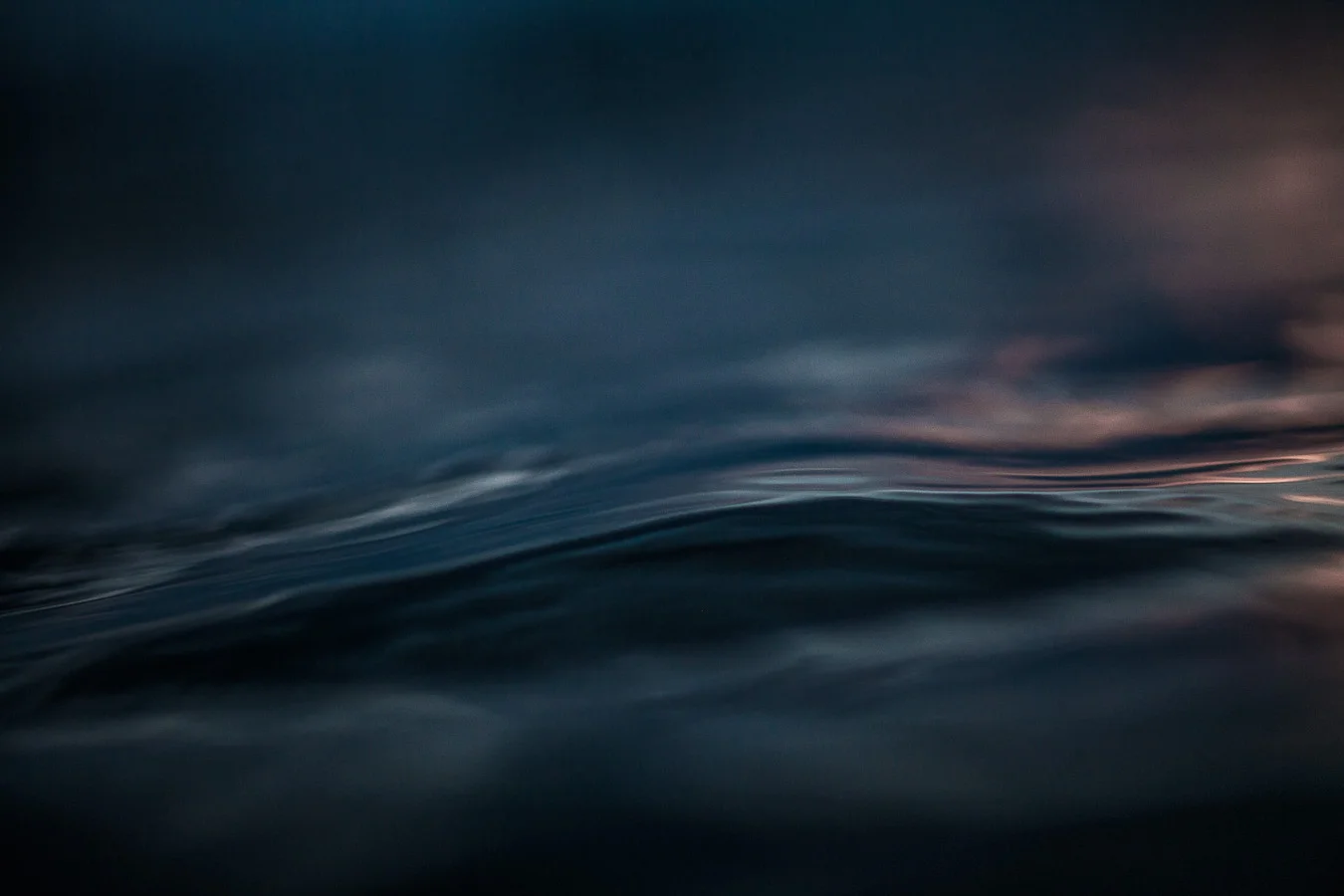 Saltiare_2013_1754.jpg