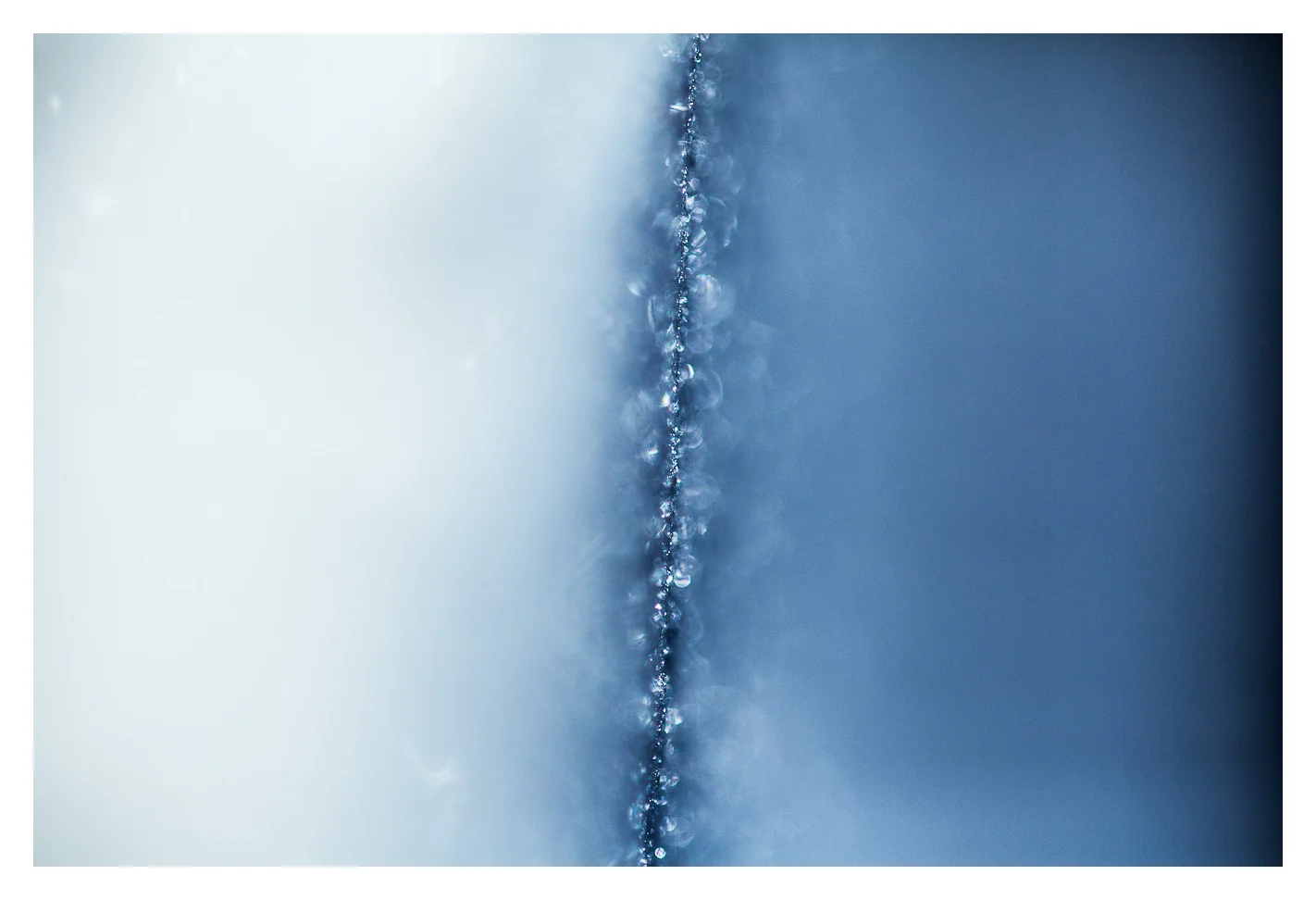 brooklyn_snow_2014_236.jpg