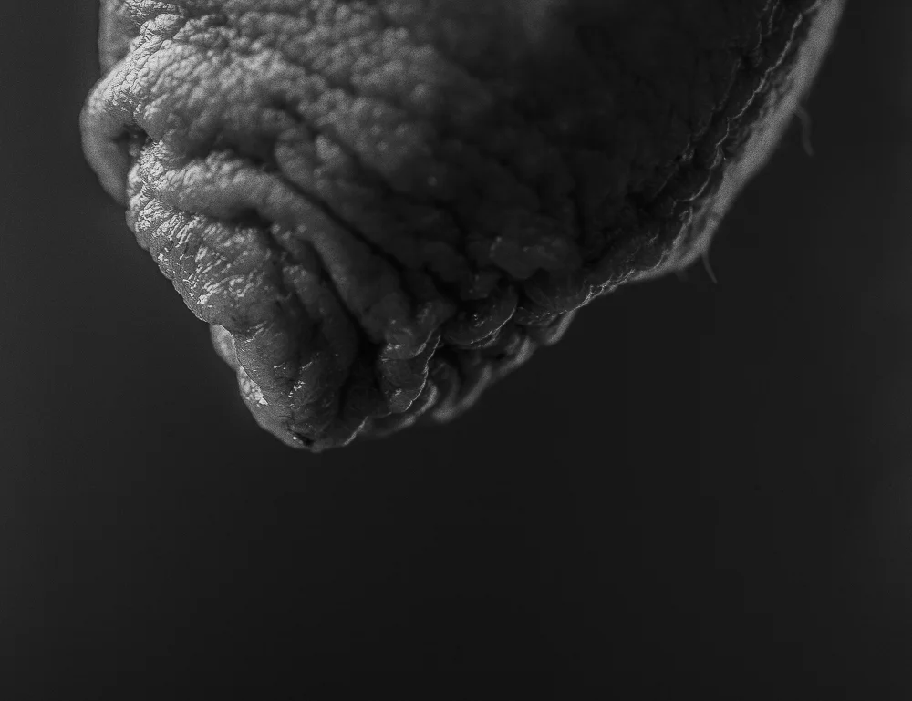 5_men_2022.jpg