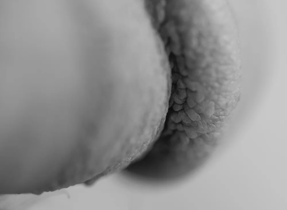 Craig_Kevin_0961.jpg