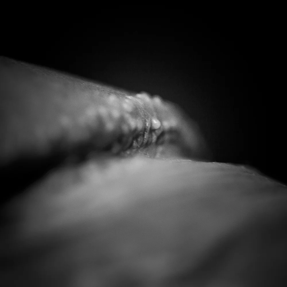 Elvis_0813.jpg