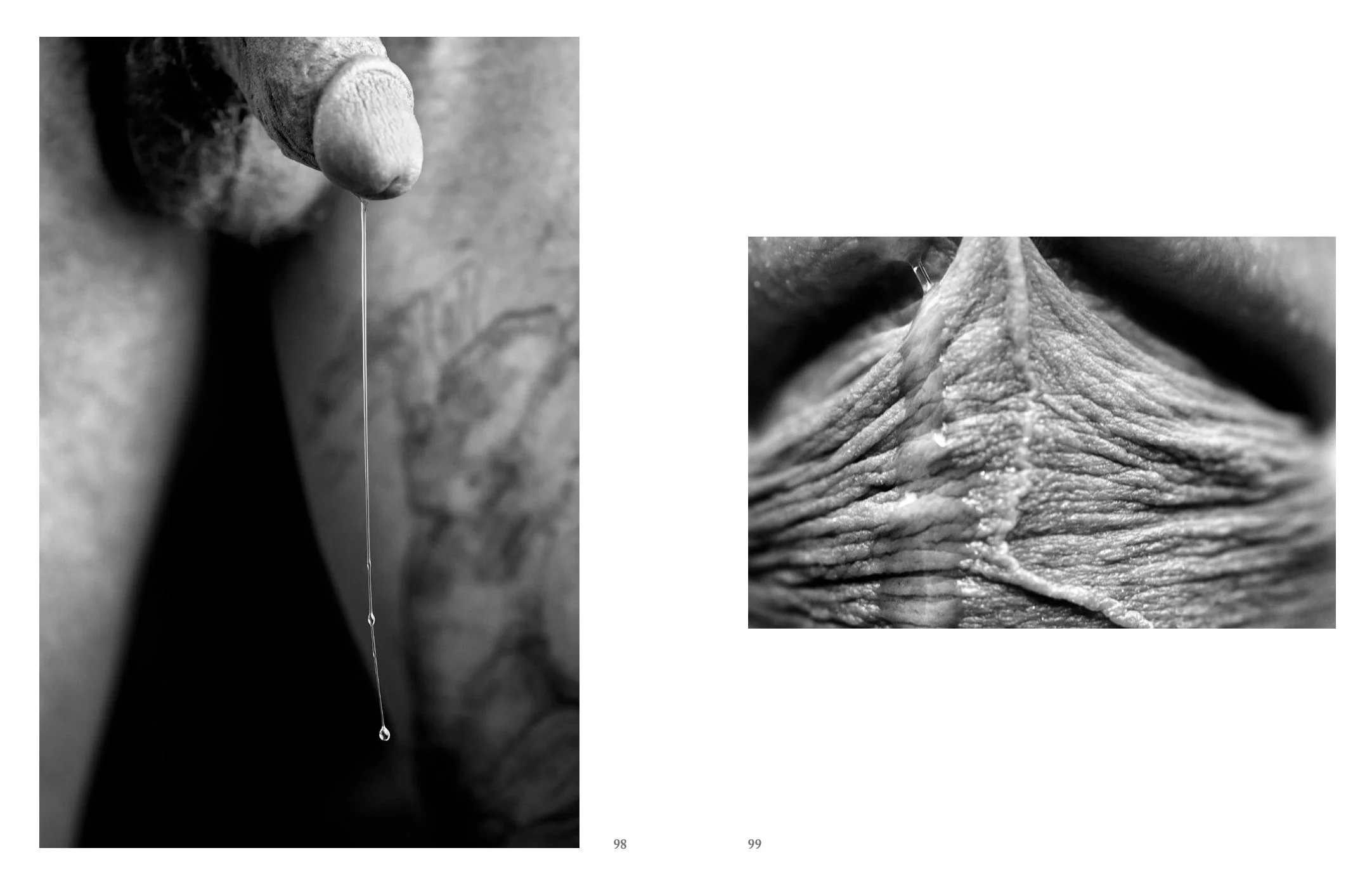 Screen Shot 2022-12-03 at 11.53.42 AM.jpg