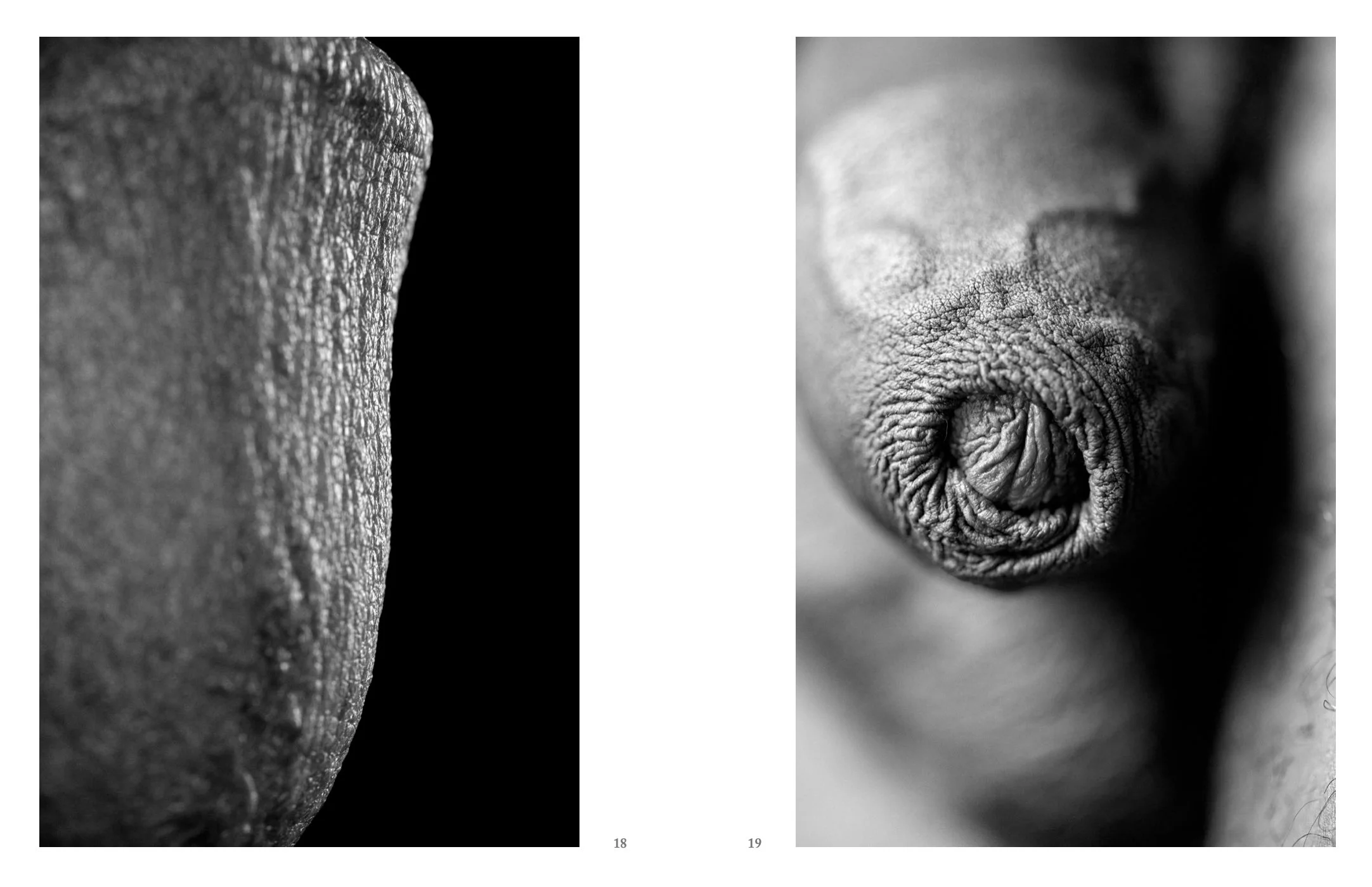 Screen Shot 2022-12-03 at 11.52.21 AM.jpg