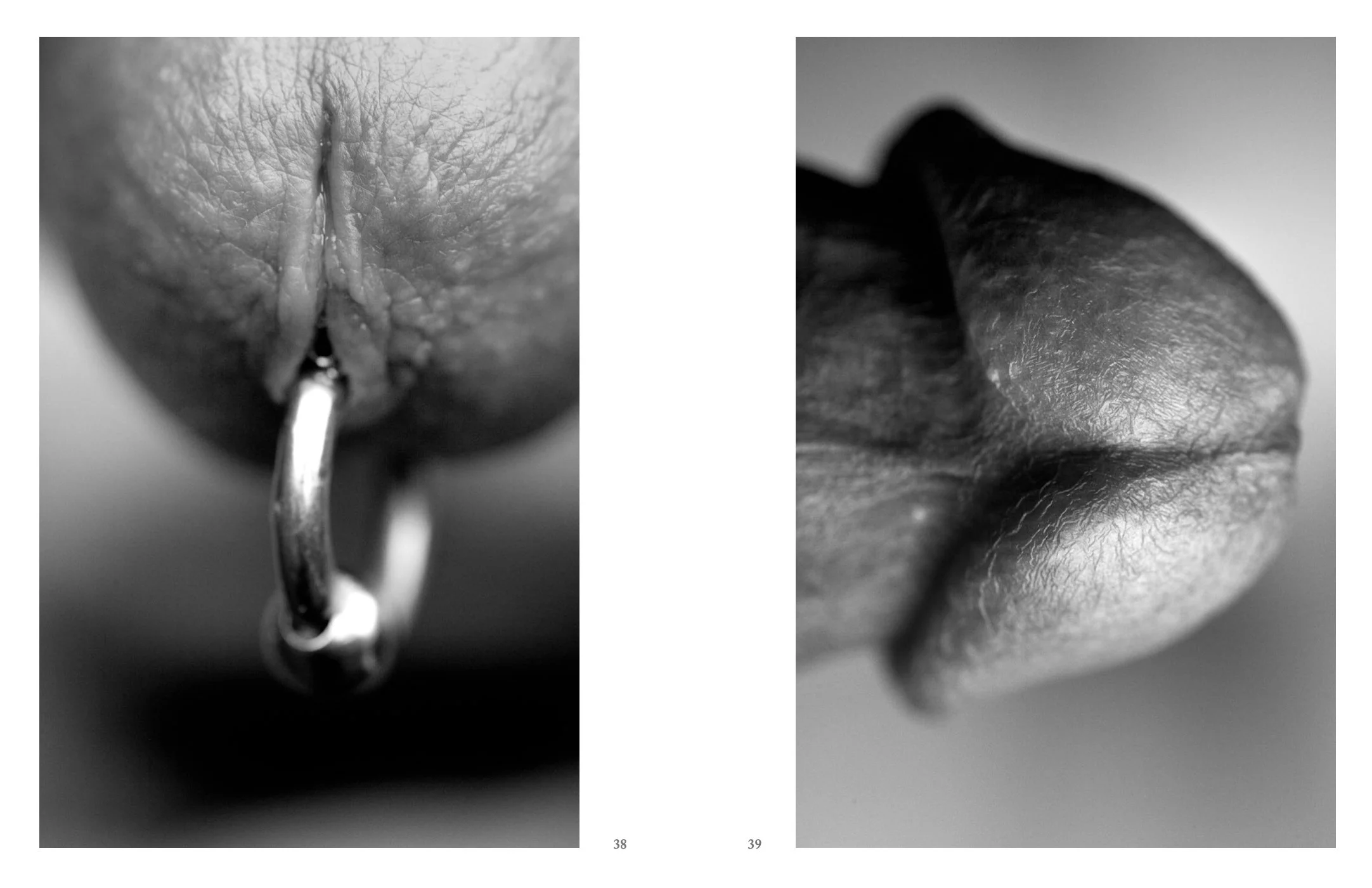 Screen Shot 2022-12-03 at 11.52.42 AM.jpg