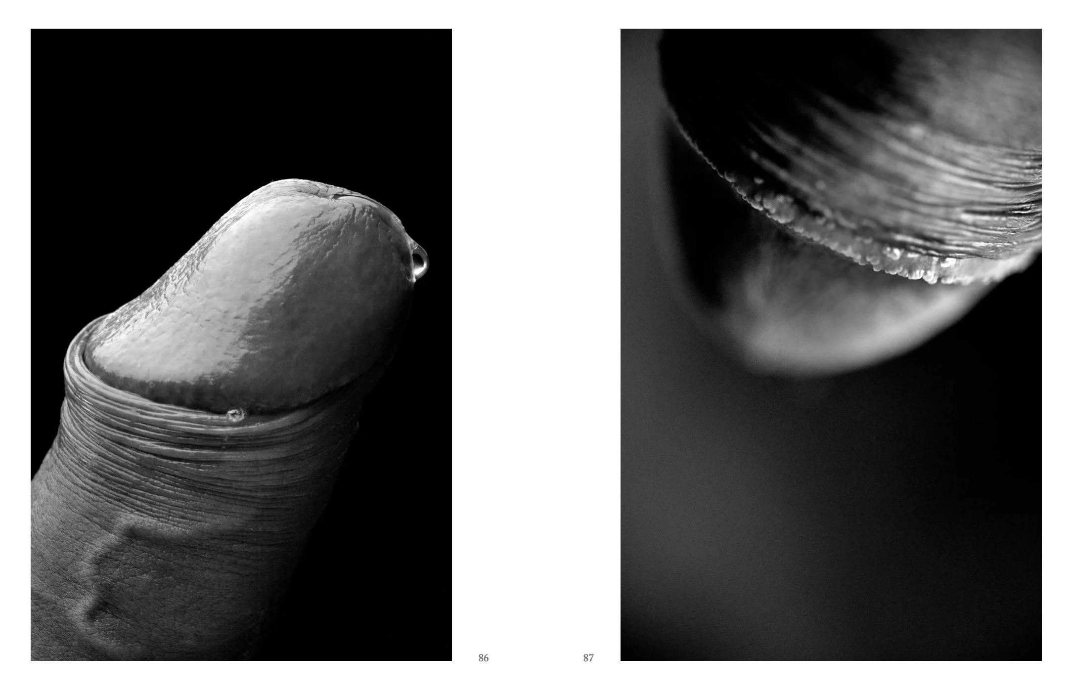 Screen Shot 2022-12-03 at 11.53.21 AM.jpg