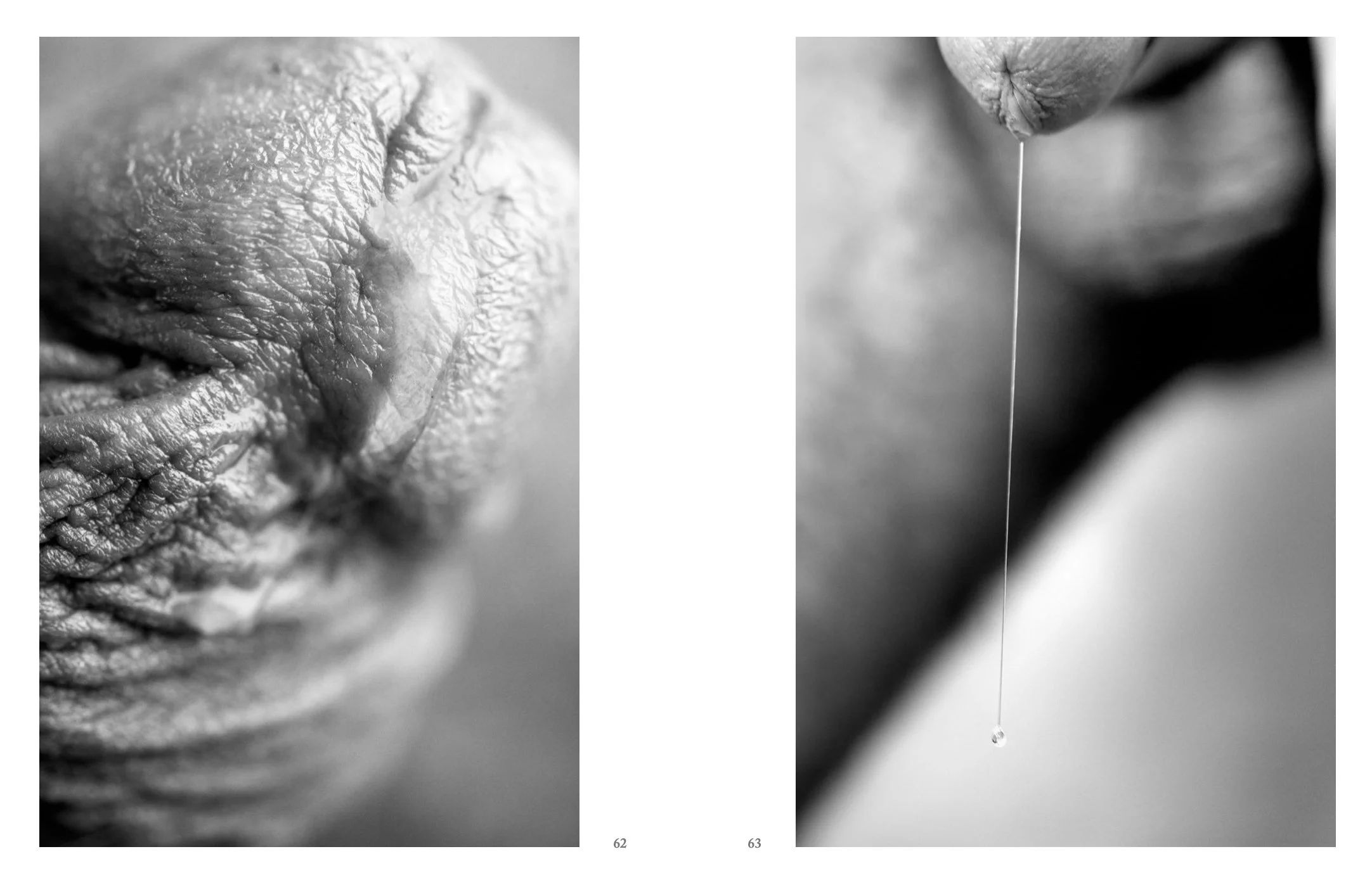 Screen Shot 2022-12-03 at 11.53.03 AM.jpg