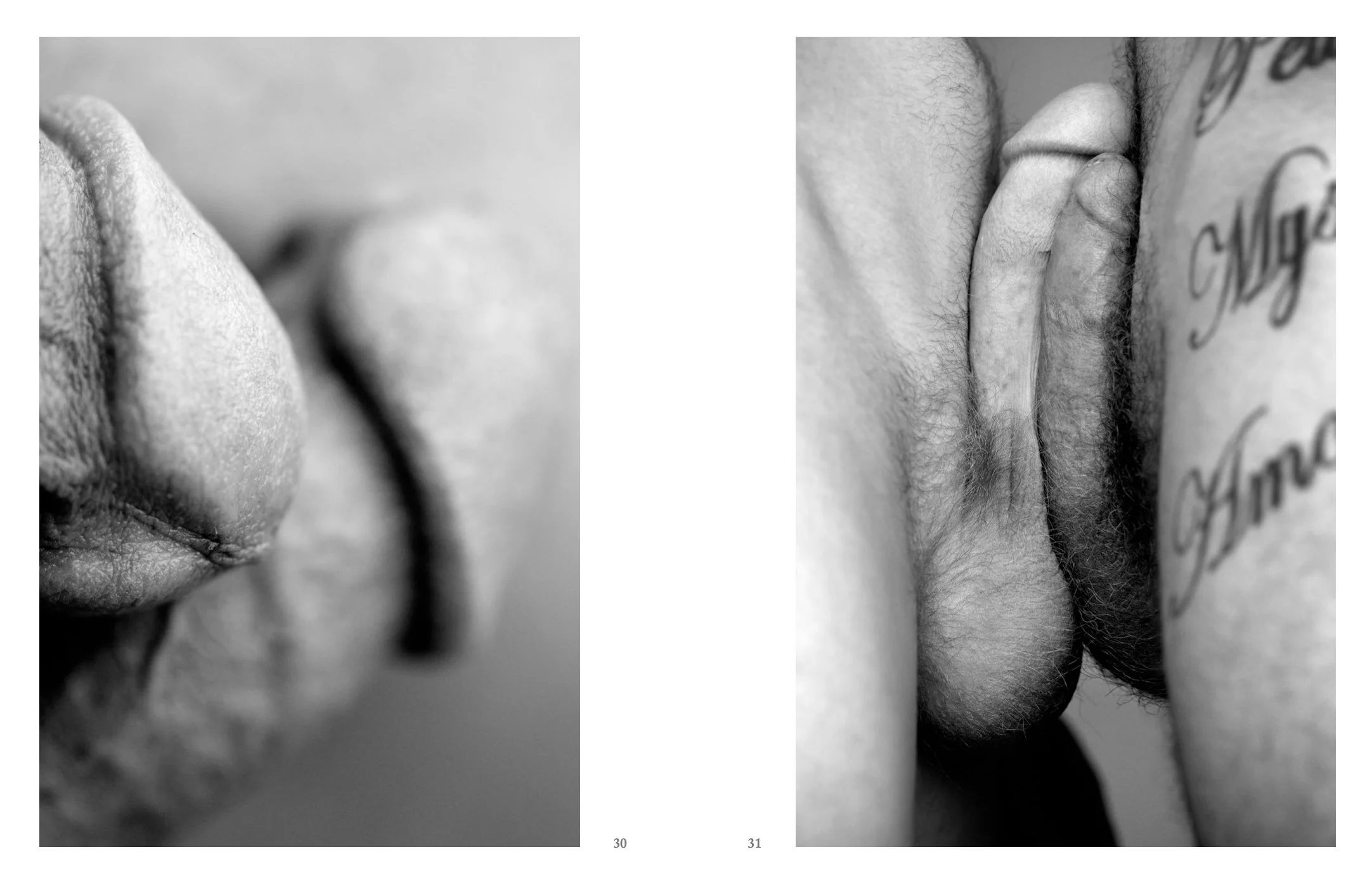 Screen Shot 2022-12-03 at 11.52.28 AM.jpg