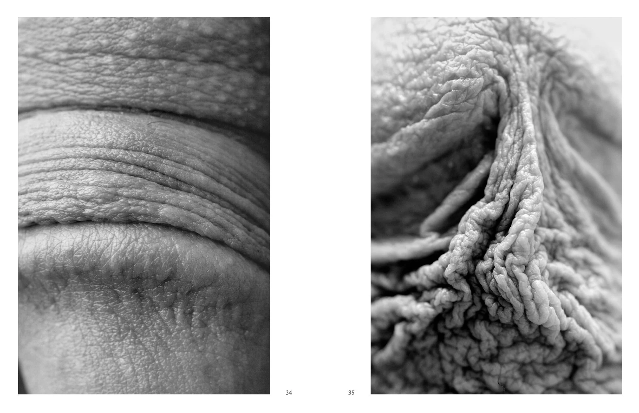 Screen Shot 2022-12-03 at 11.52.33 AM.jpg