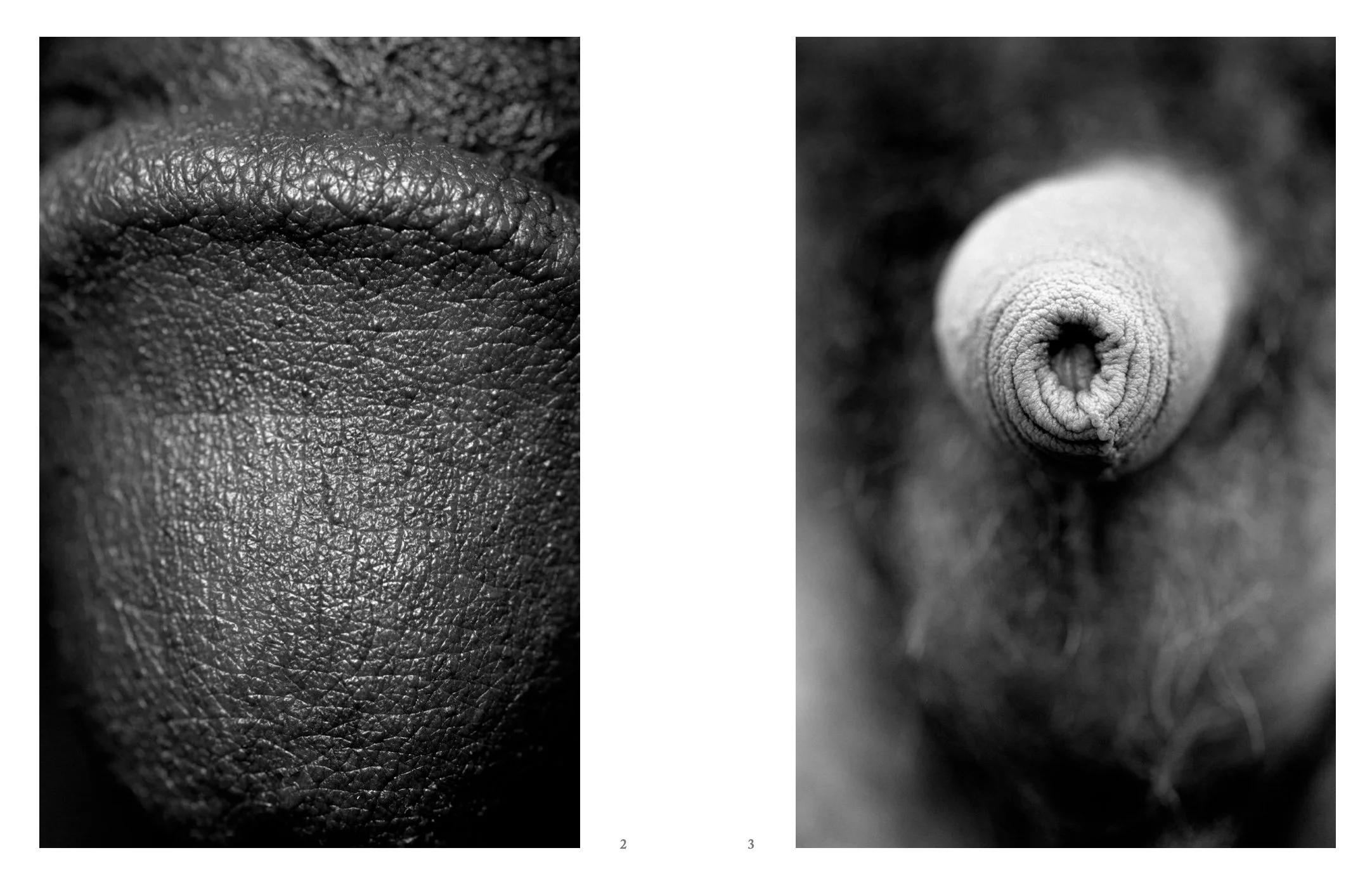 Screen Shot 2022-12-03 at 11.52.08 AM.jpg