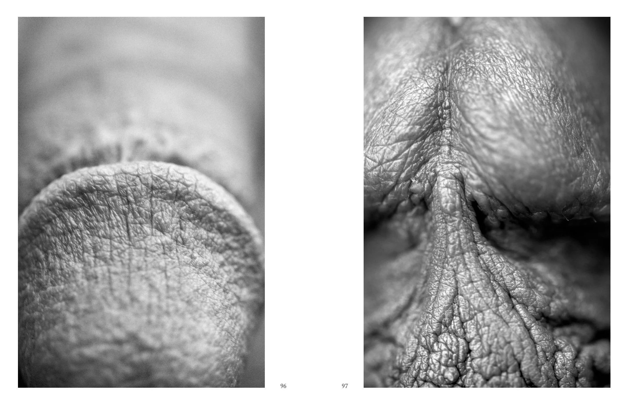 Screen Shot 2022-12-03 at 11.53.35 AM.jpg