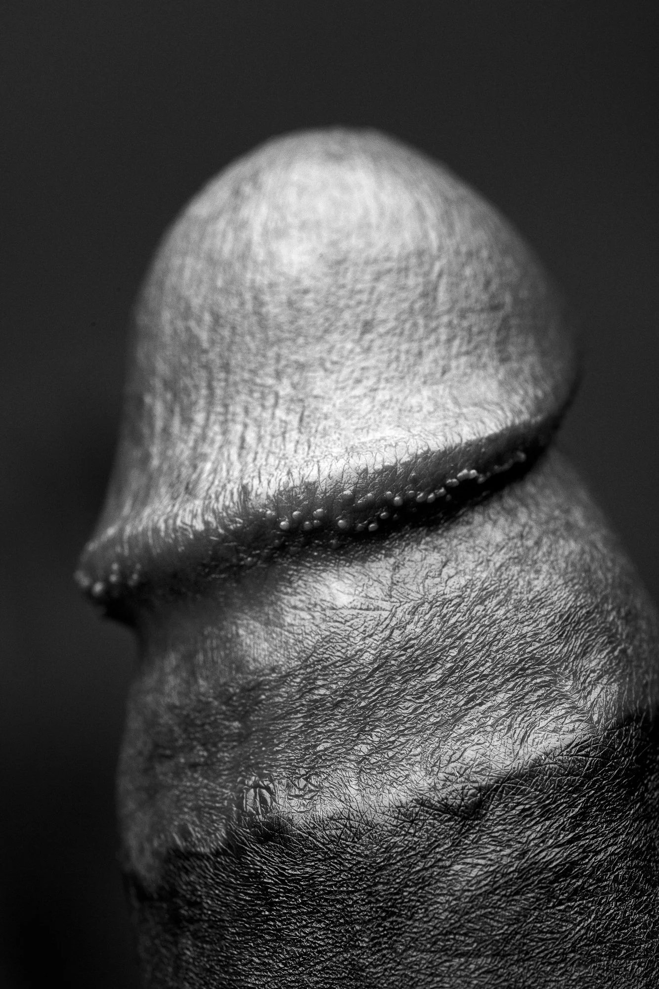 Members Only #43