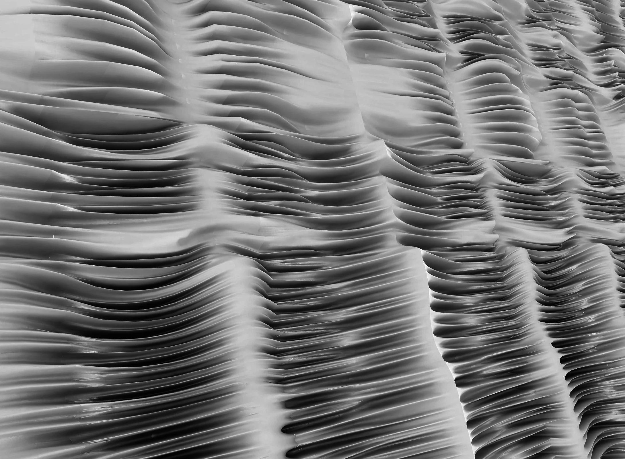 render_2_edit1_bw_2.jpg